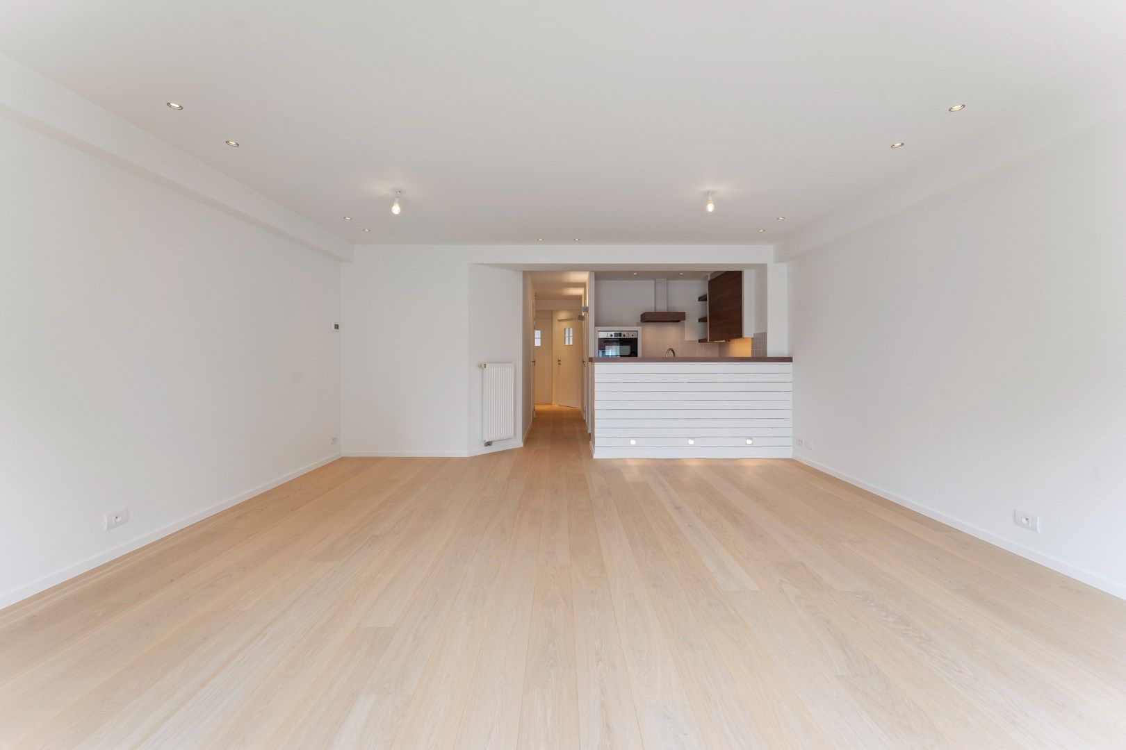 Gerenoveerd, lichtrijk appartement  foto 2