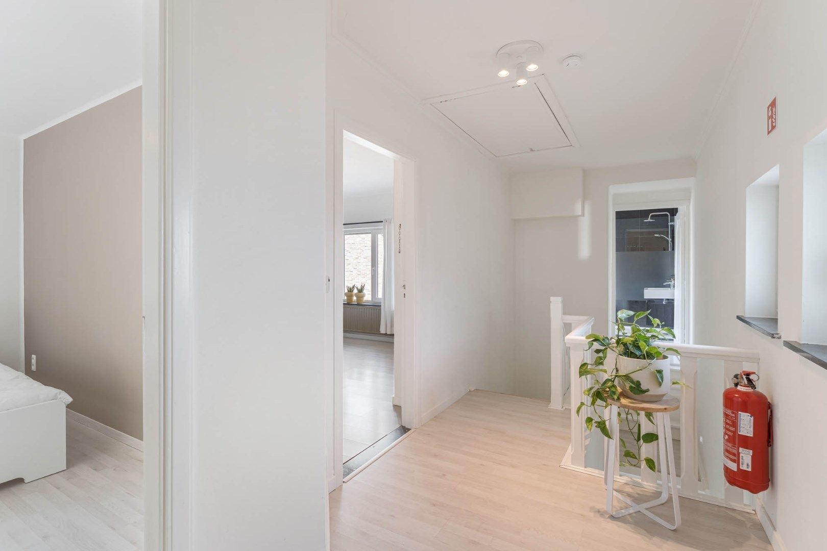 Stijlvol gerenoveerde gezinswoning op een perceel van 5a65ca te Geistingen, een gehucht van Kinrooi!  foto 19