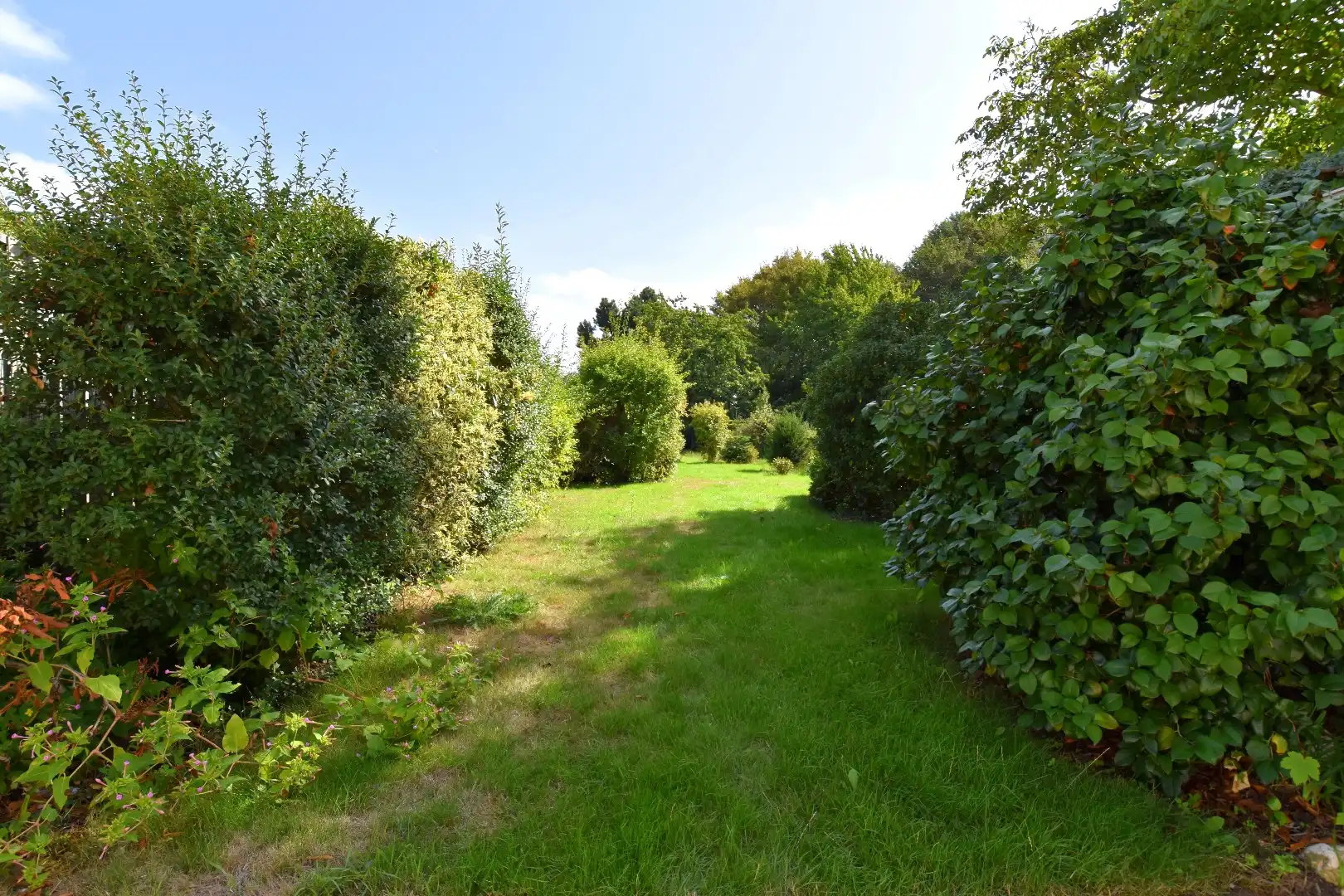 Gezellige woning met 2 slaapkamers en een mooi stukje tuin foto 17