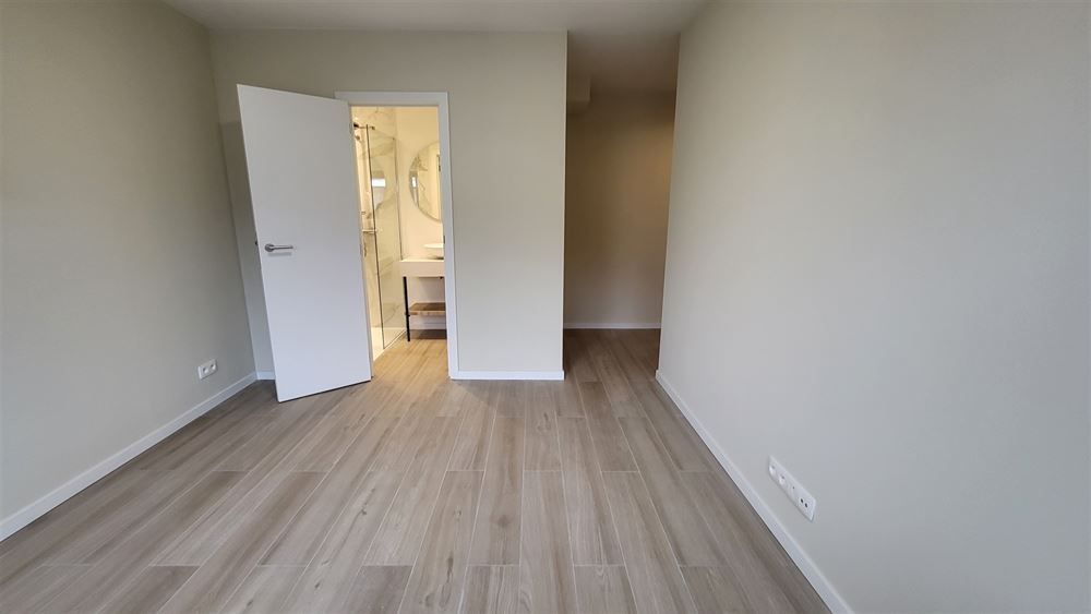 Gerenoveerd 3-slpkr appartement + ruim terras| Antwerpen-Centrum  foto 11