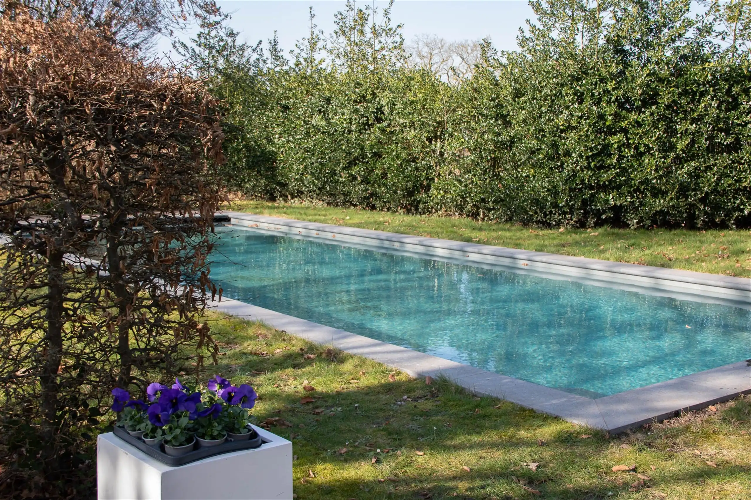 Droomvilla met zwembad op 1391 m²  foto 3