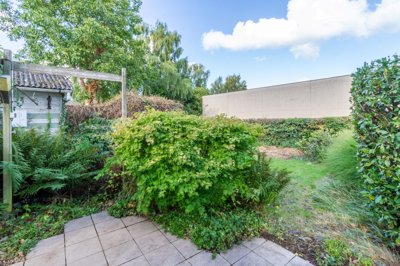 TOPLIGGING: WONING MET 3 SLAAPKAMERS + TUIN ! foto 14