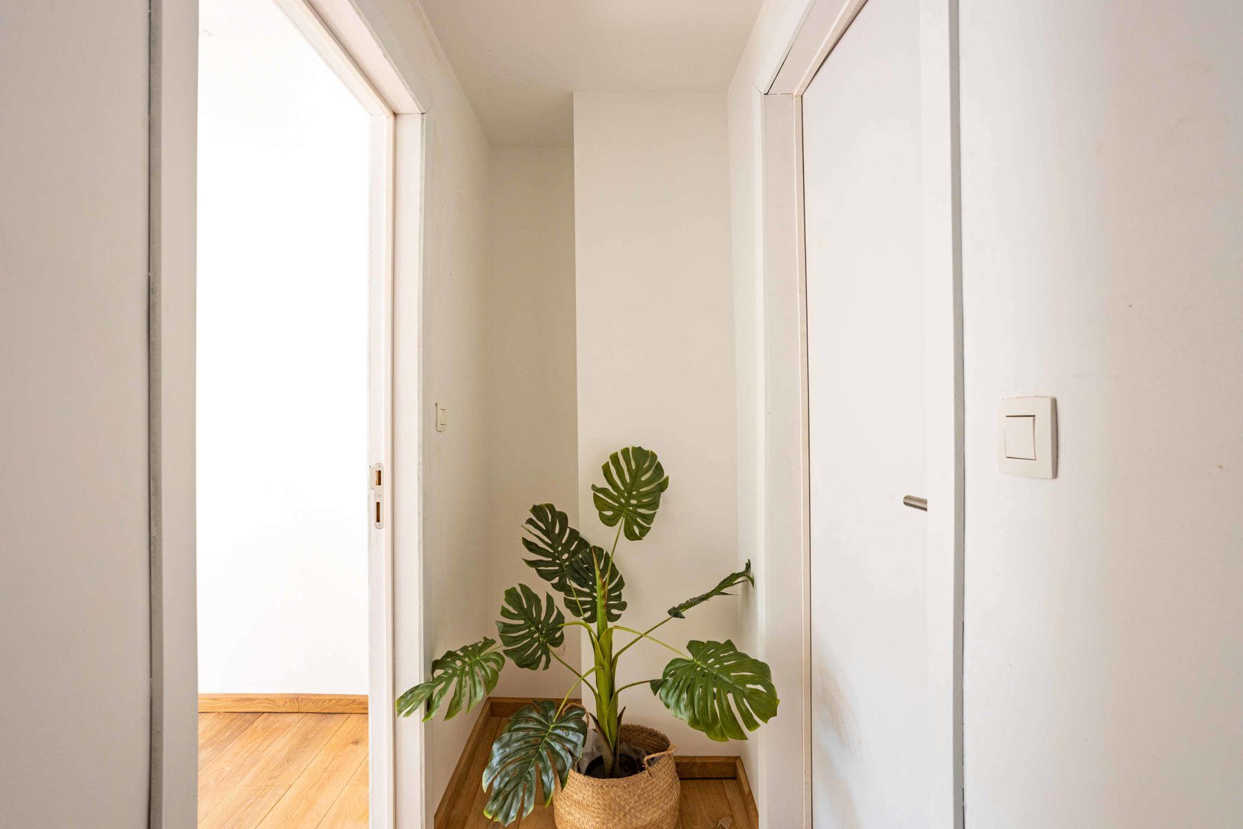 Instapklare, totaal gerenoveerde rijwoning met tuin foto 5