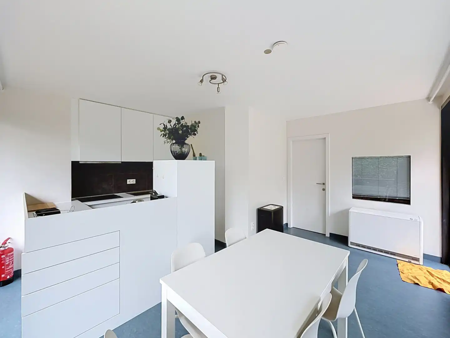 ​​​​​​​Unieke opbrengsteigendom op toplocatie in Nieuwpoort-Bad foto 2