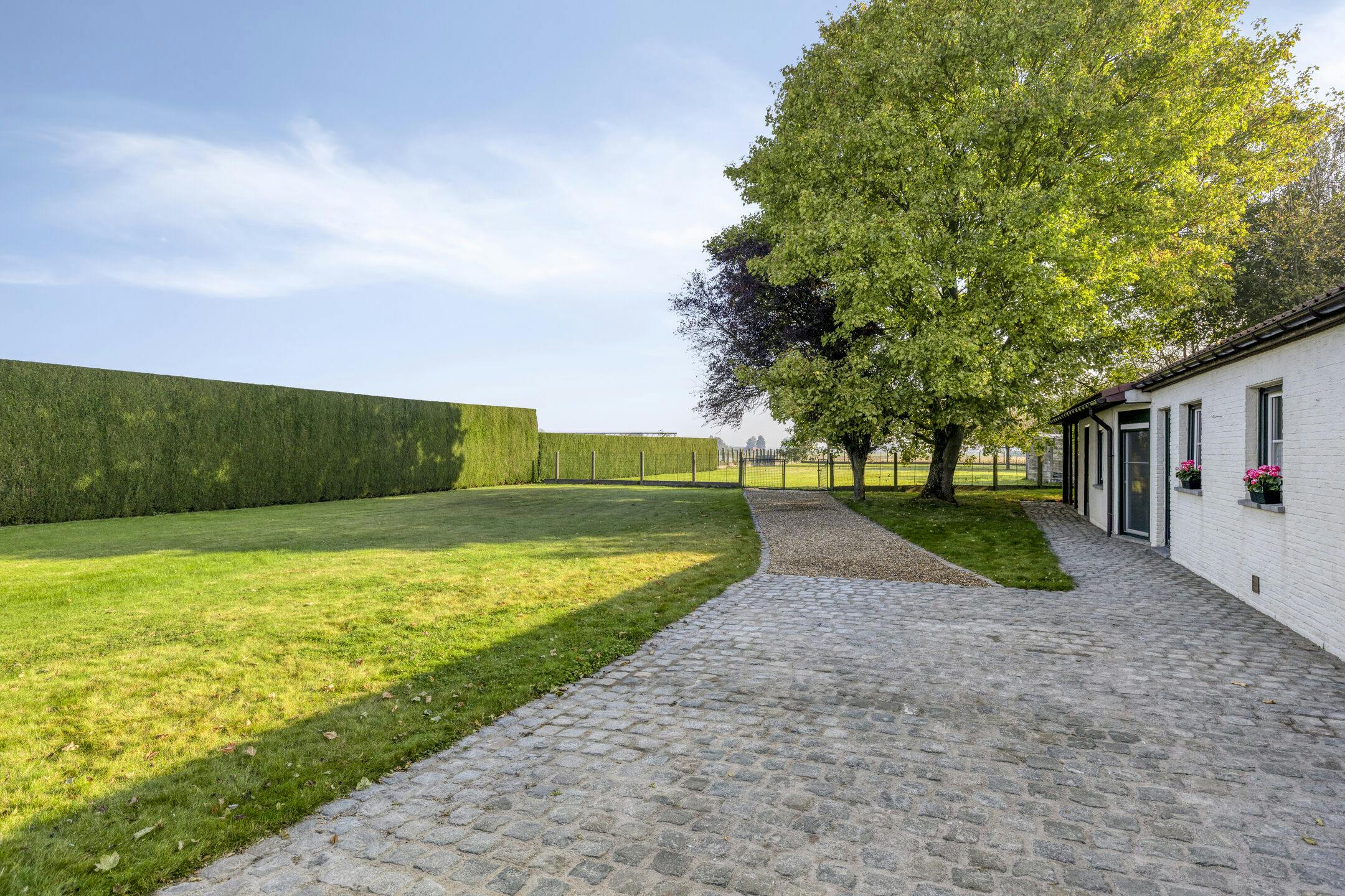 Halfopen huis omringd door groen te koop in Oudenaarde foto 18