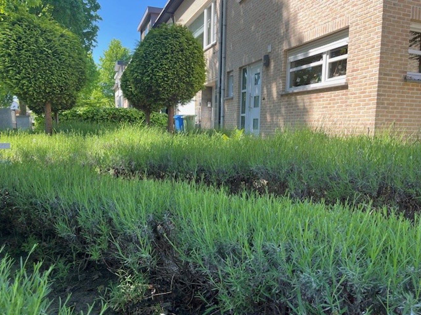 Ruime woning met 4 slaapkamers, tuin en garage in 'Sint Lucaswijk' te Ekeren.  foto 2
