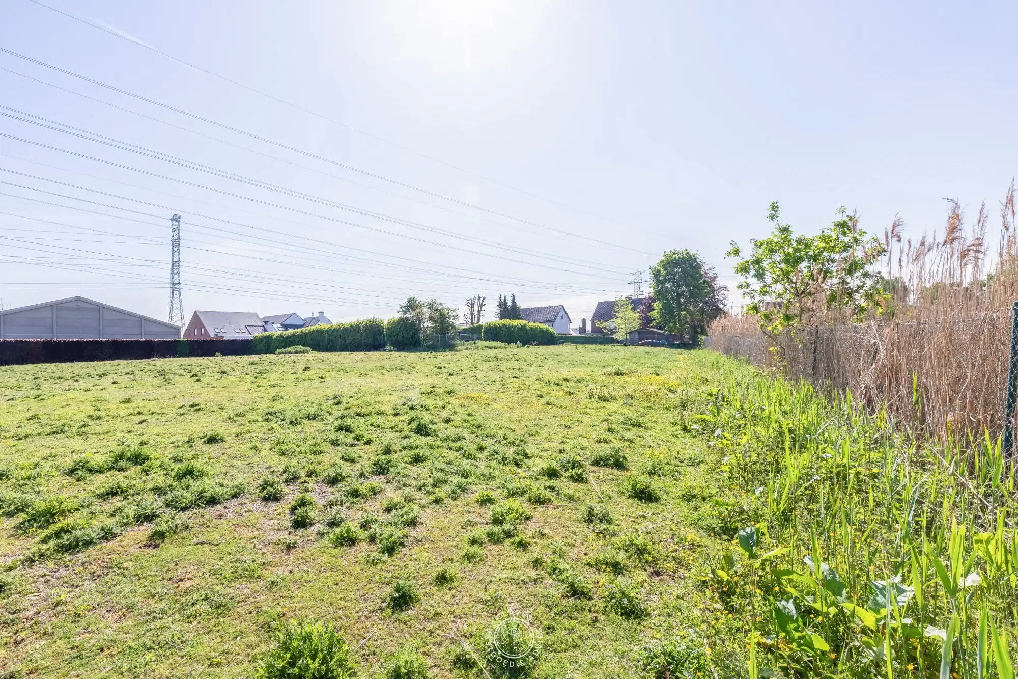 Ruime halfopen bebouwing met weiland op 6029 m² foto 26
