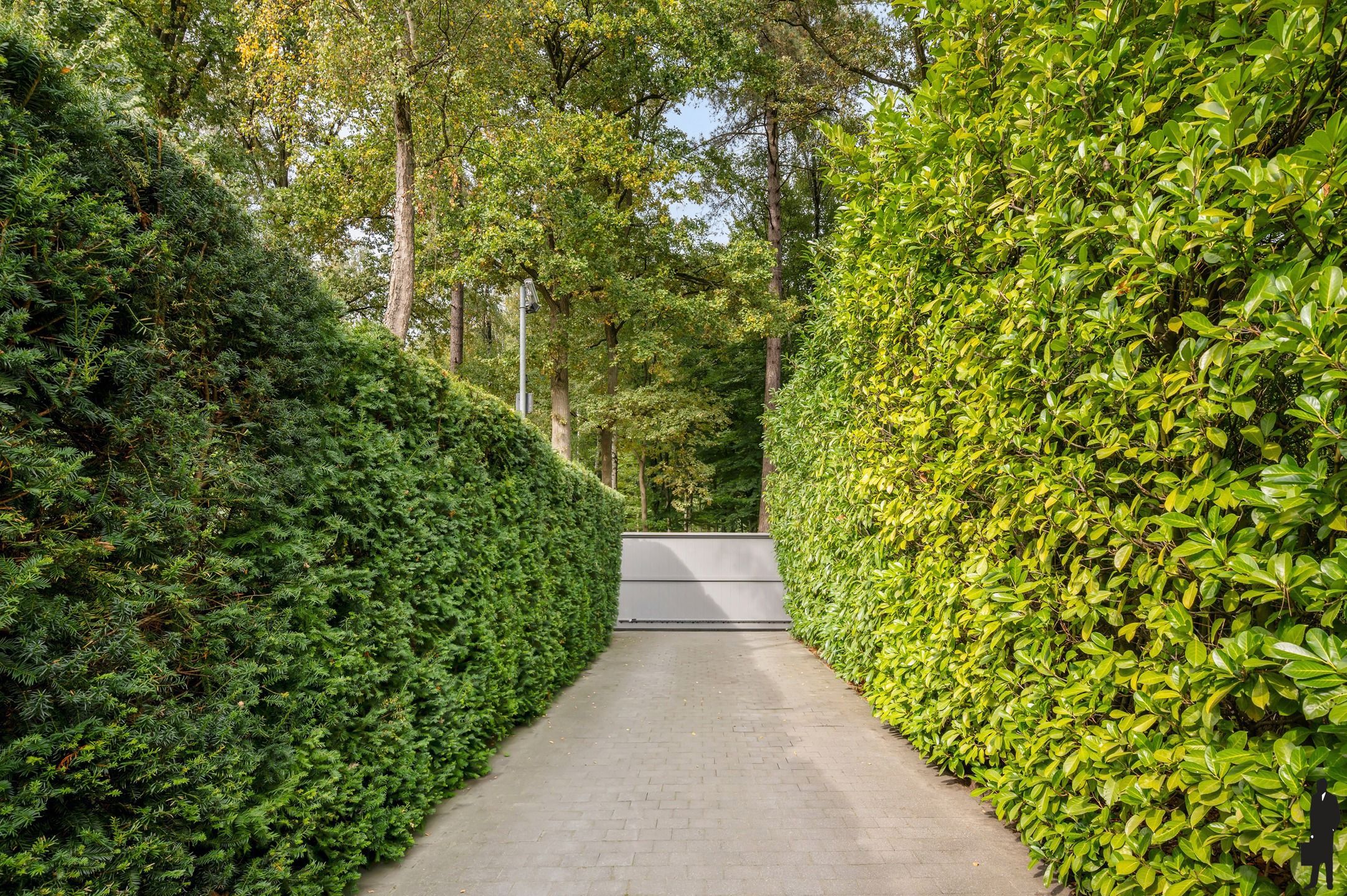 Ruime villa op een zonnig perceel van ca. 3.478m²! foto 2