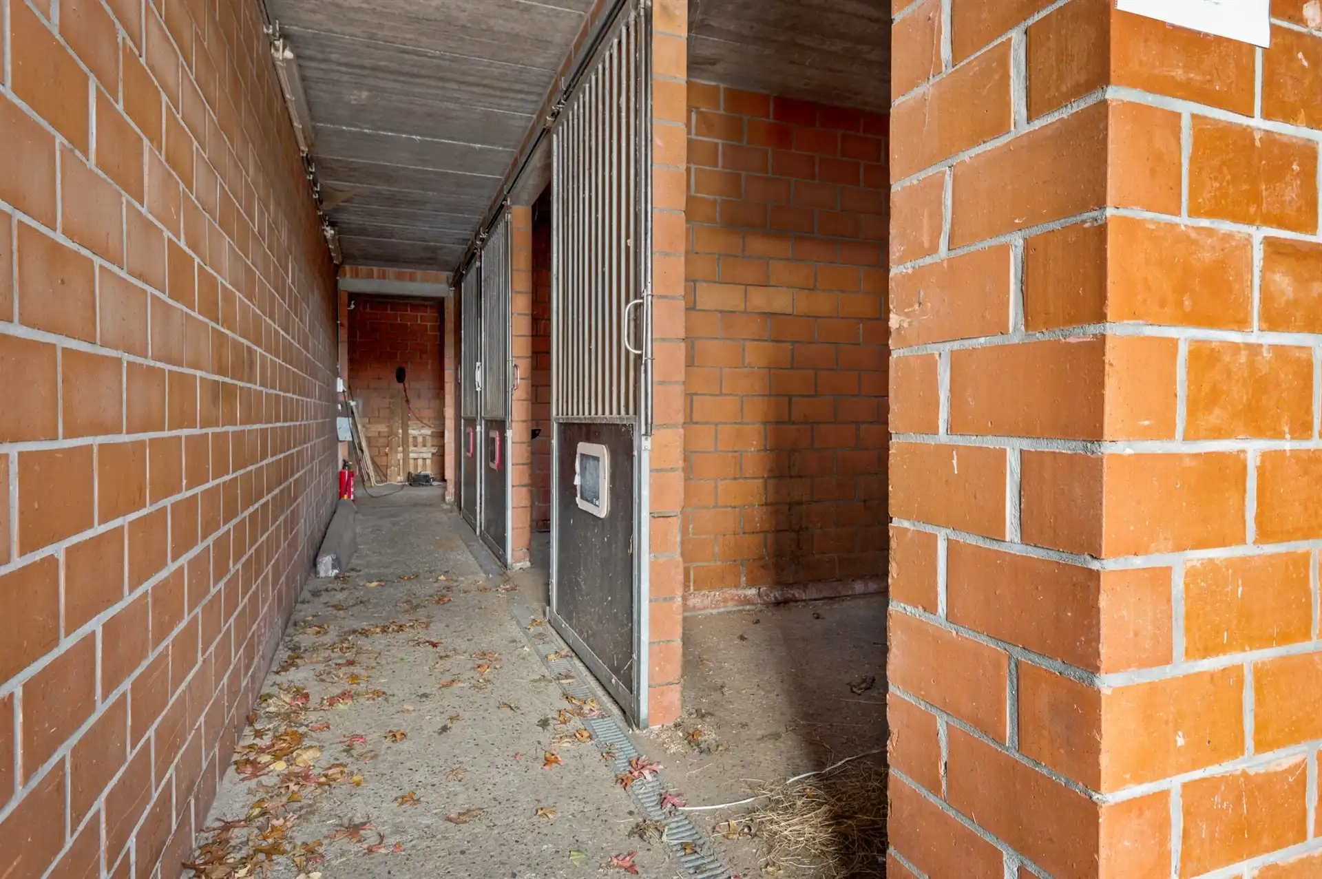 Handelspand met ruim appartement op een toplocatie in Sint-Gillis-Waas foto 9