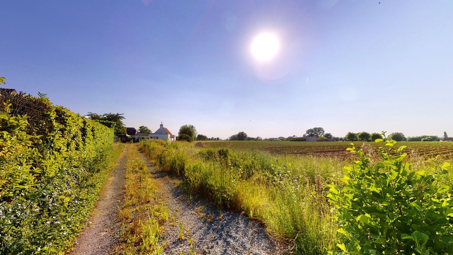 Te slopen hoeve op exclusieve ligging. foto 10