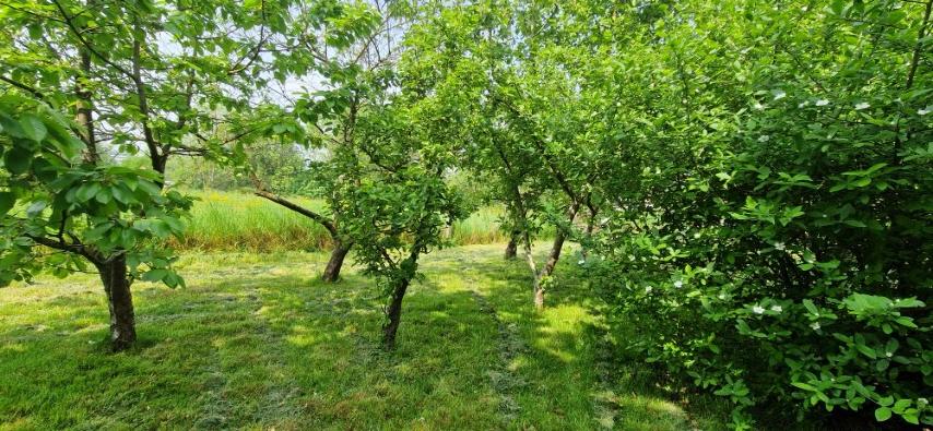 Rustig en welgelegen EENGEZINSWONING, open beb., op 15 are 92 ca foto 4
