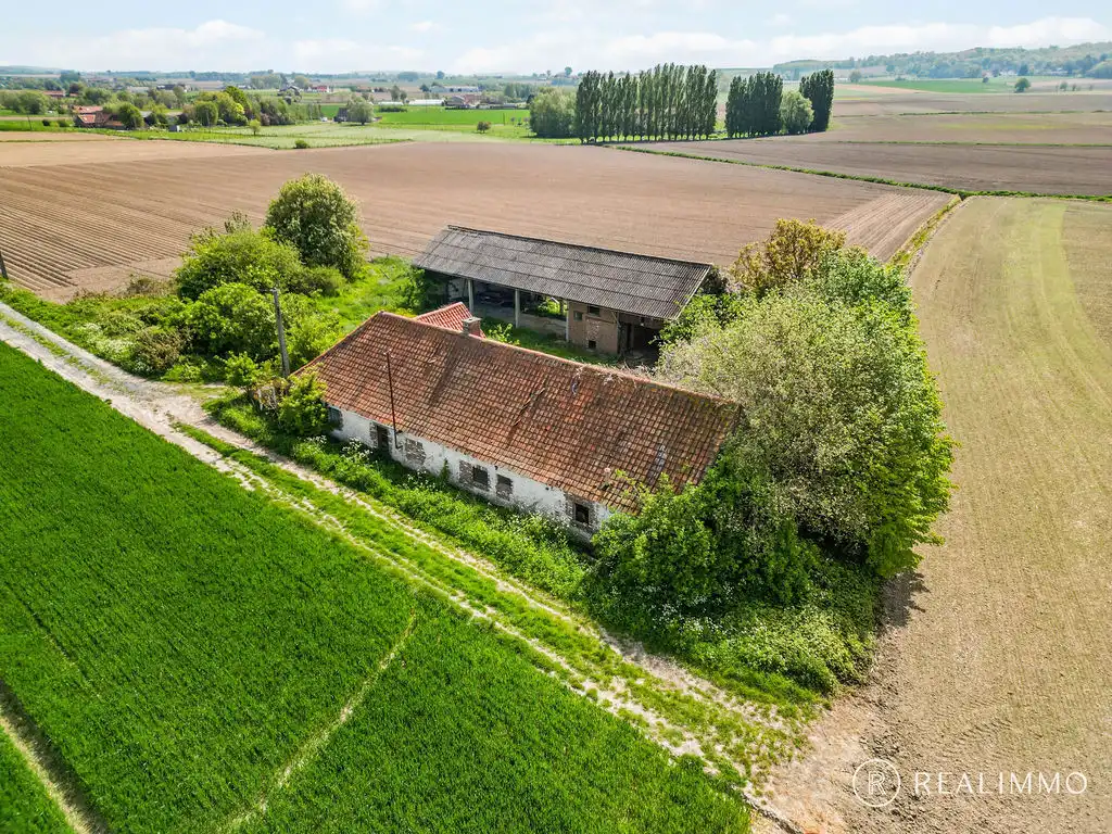 Uniek gelegen fermette met 360° uitzicht in Celles (Molenbaix), met bouwvergunning ! foto 6