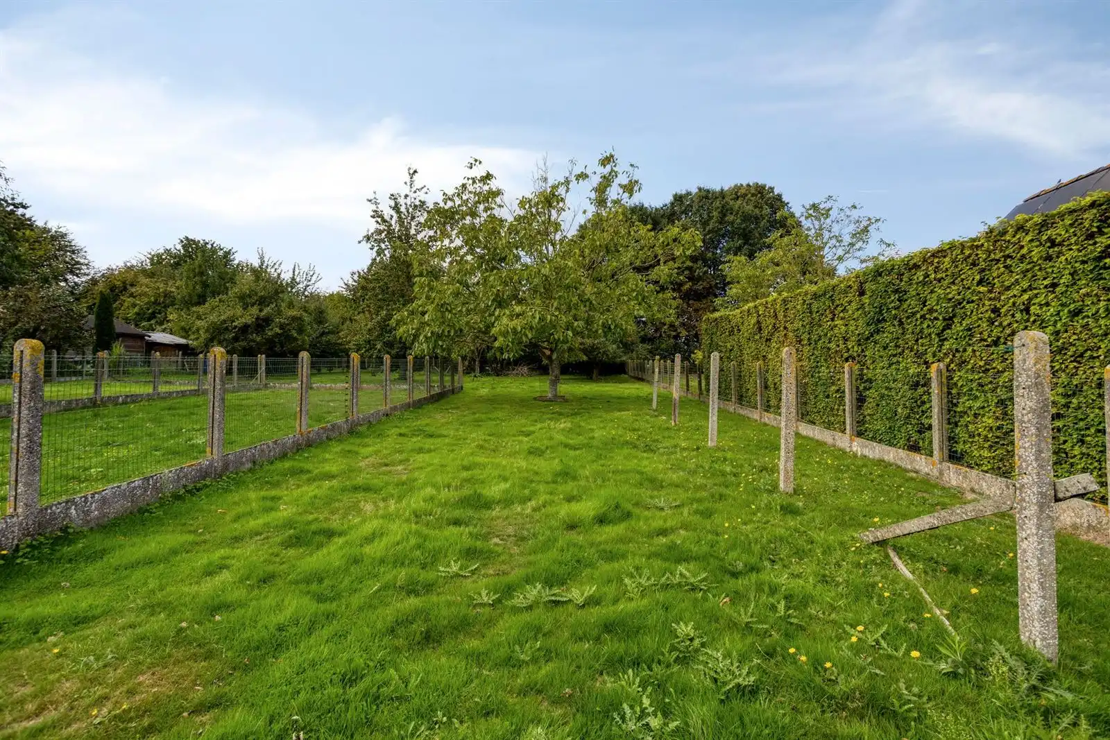 Openbebouwing met 5 slaapkamers garage en ruime tuin foto 25