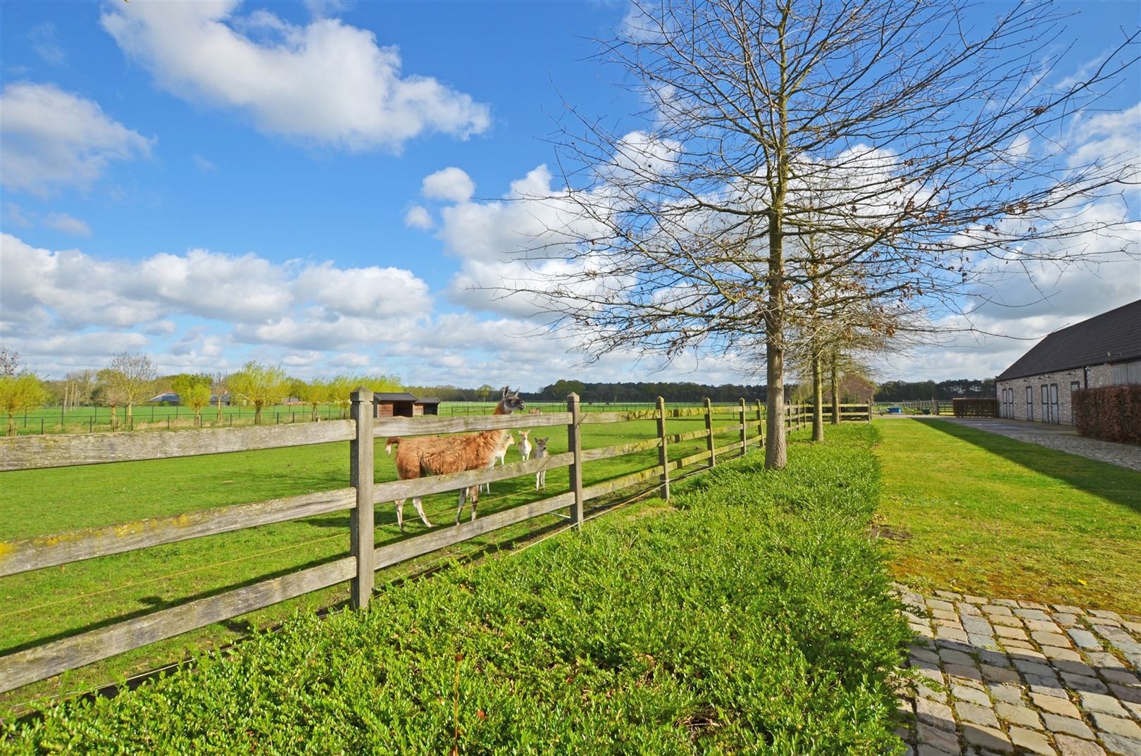 Trendy stijlvolle villahoeve met paardenaccommodatie op 3,5 ha foto 37