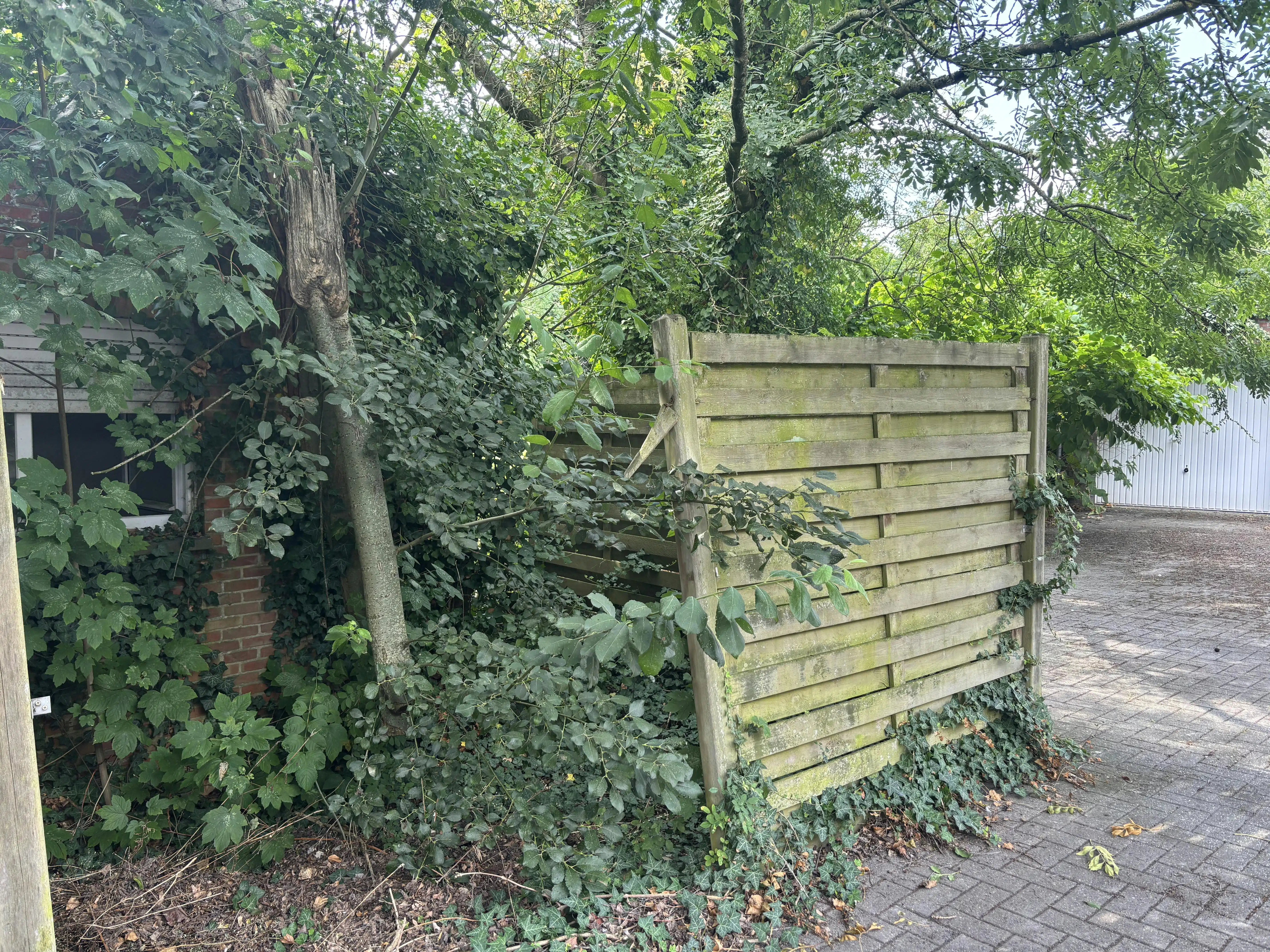 Handelspand met woonst te koop in centrum Brecht! foto 18