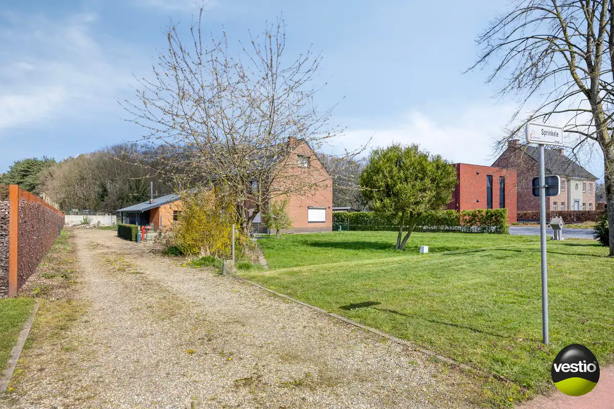 UNIEK BOUWPERCEEL VAN 16A VOOR OB MET AF TE BREKEN WONING TE ZUTENDAAL. foto 4