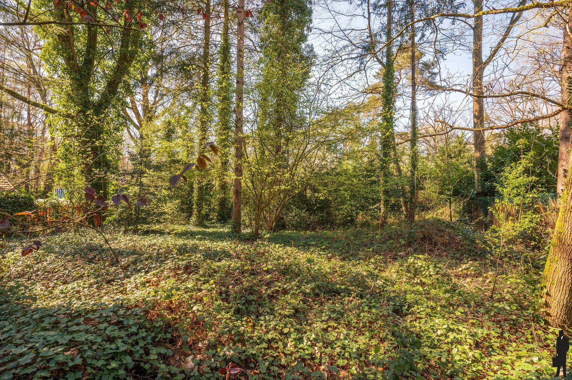 Instapklare villa met binnenzwembad op gegeerde locatie! foto 29