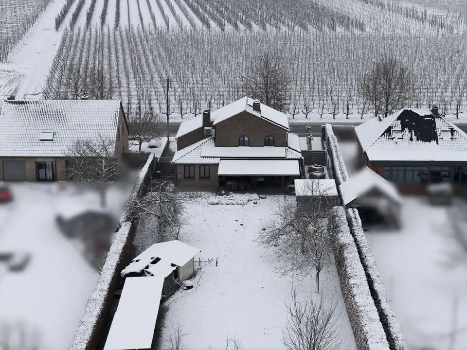 EXCLUSIEVE GEZINSWONING MET RUIME TUIN, 252M² WOONCOMFORT EN TOPLIGGING IN SINT-TRUIDEN foto 35