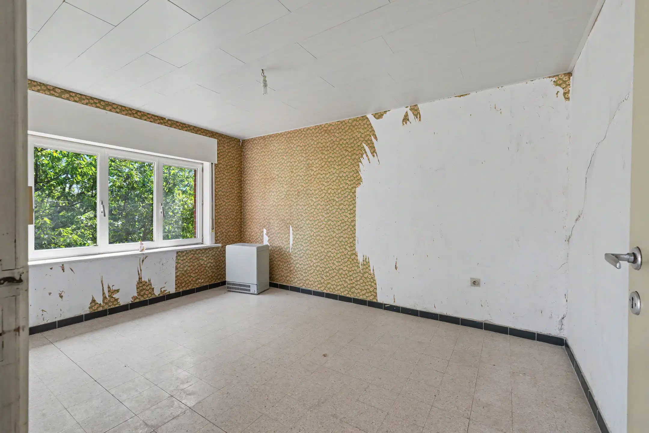 hoeve met loods en bijgebouw op +/-79a foto 16