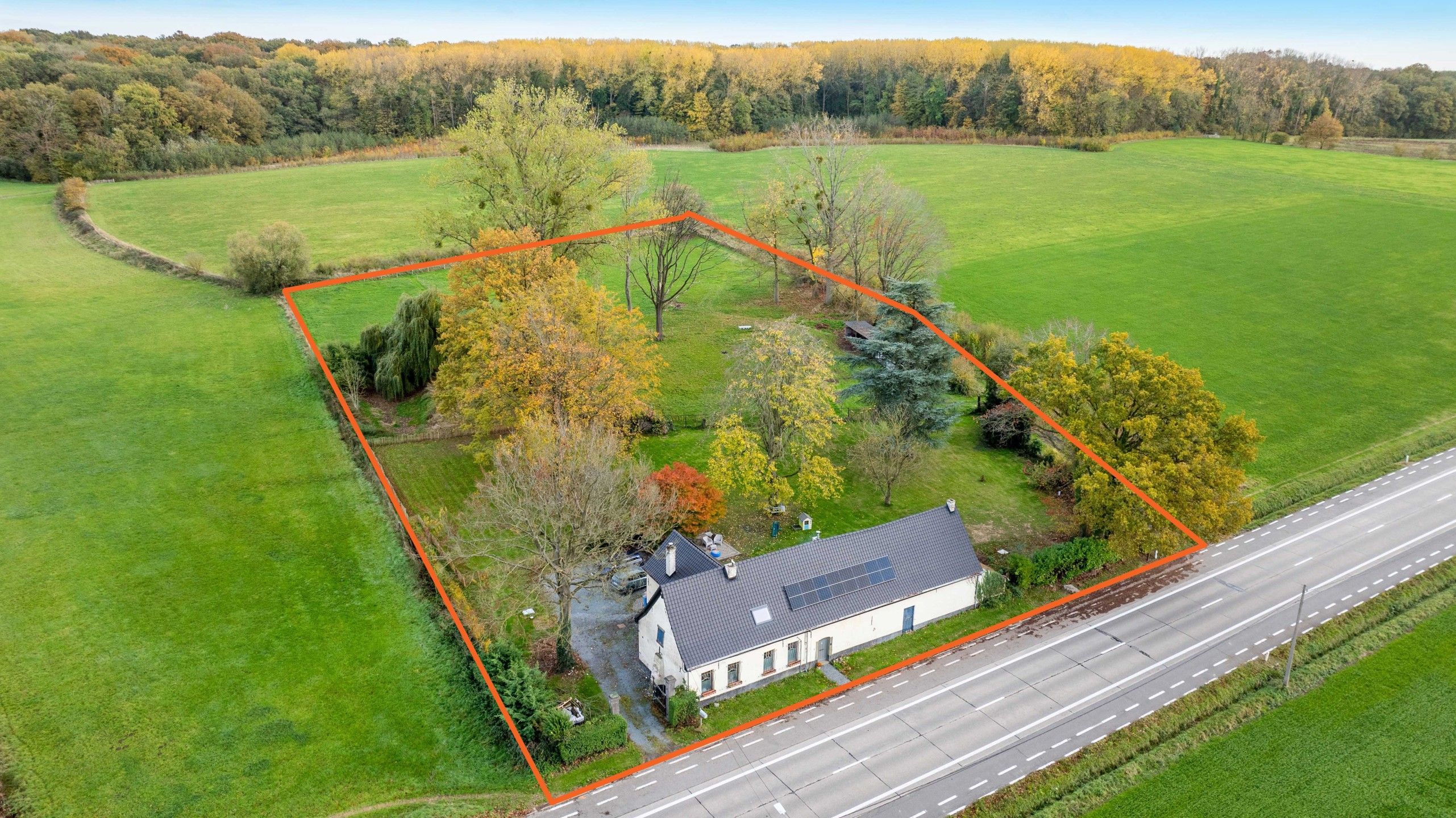 PEPINGEN - Charmante hoeve met prachtig uitzicht op 1,2ha foto 2