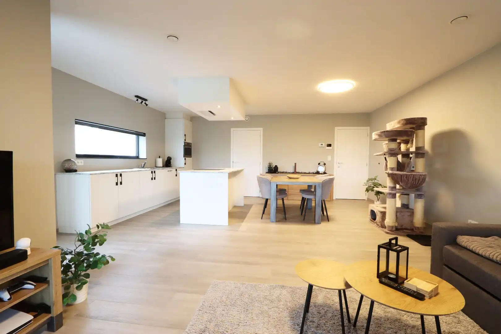 Gelijkvloers appartement met tuintje, terras, autostandplaats en kelderberging in hartje Maaseik  foto 4