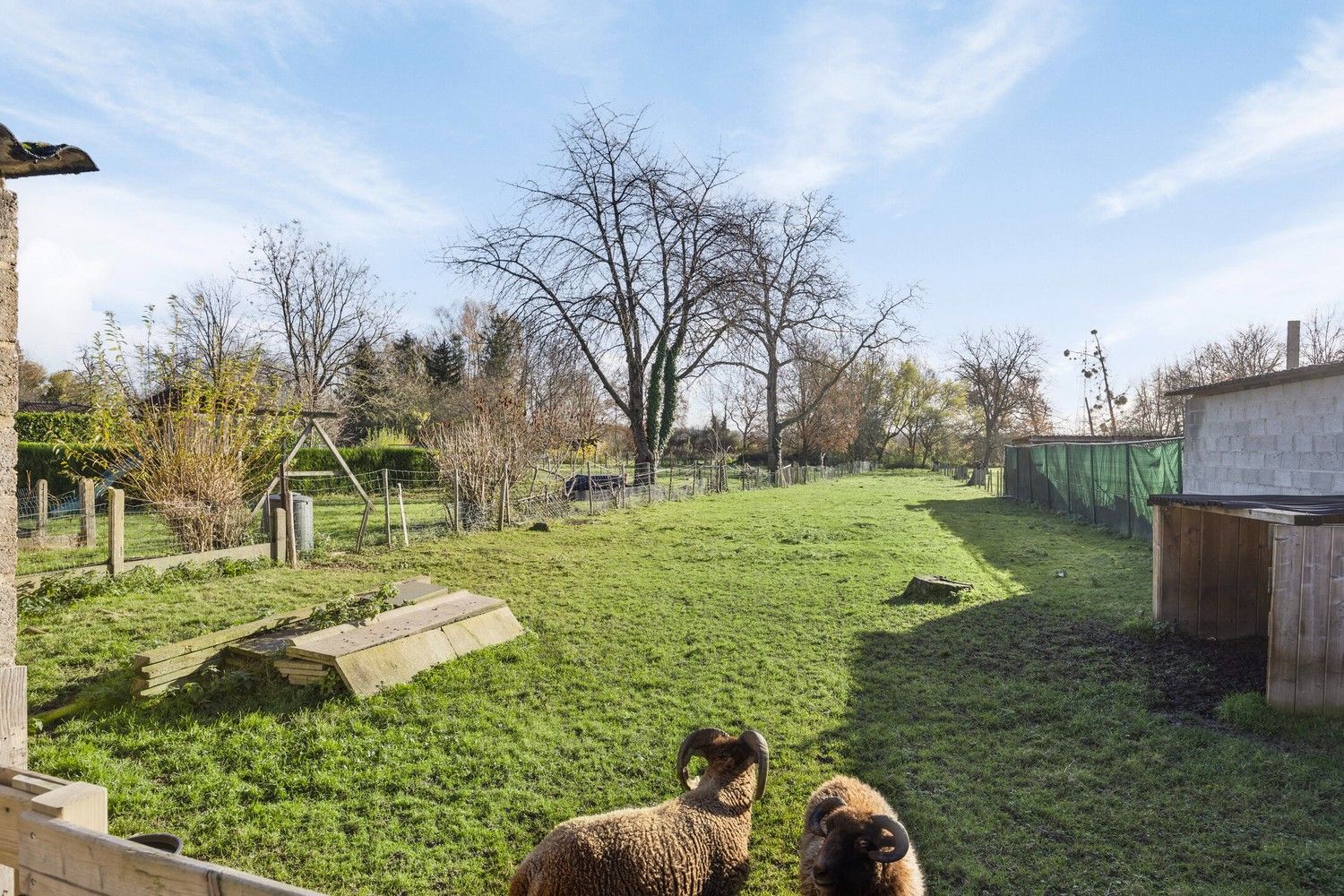 Moderne split-level woning met ruime tuin in Maasmechelen foto 34