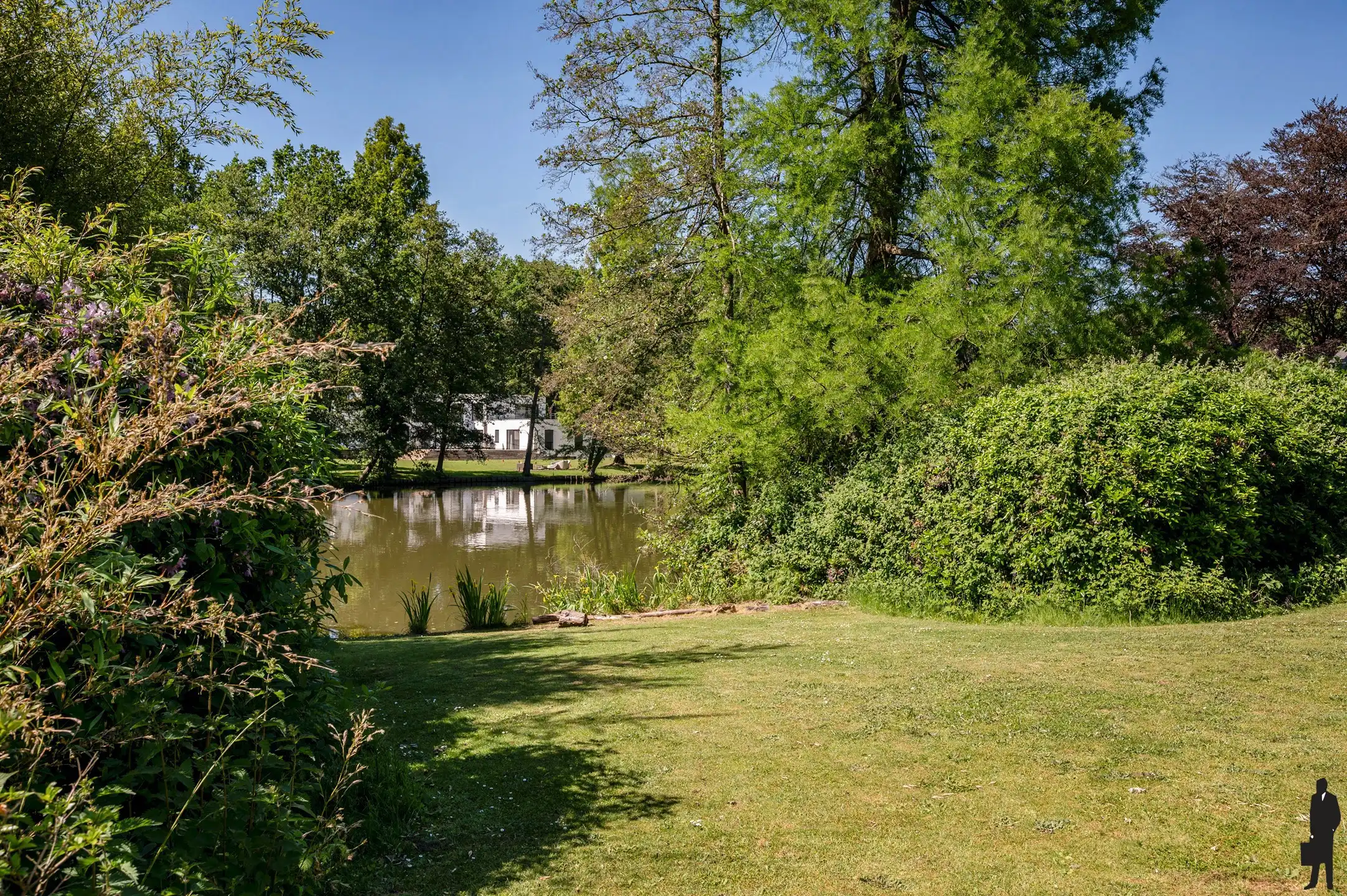 Sfeervolle cottage villa in Brasschaat foto 3