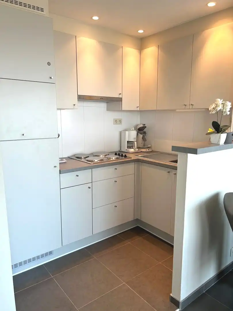 Gerenoveerde studio op de 10de verdieping met prachtig open zicht! foto 8