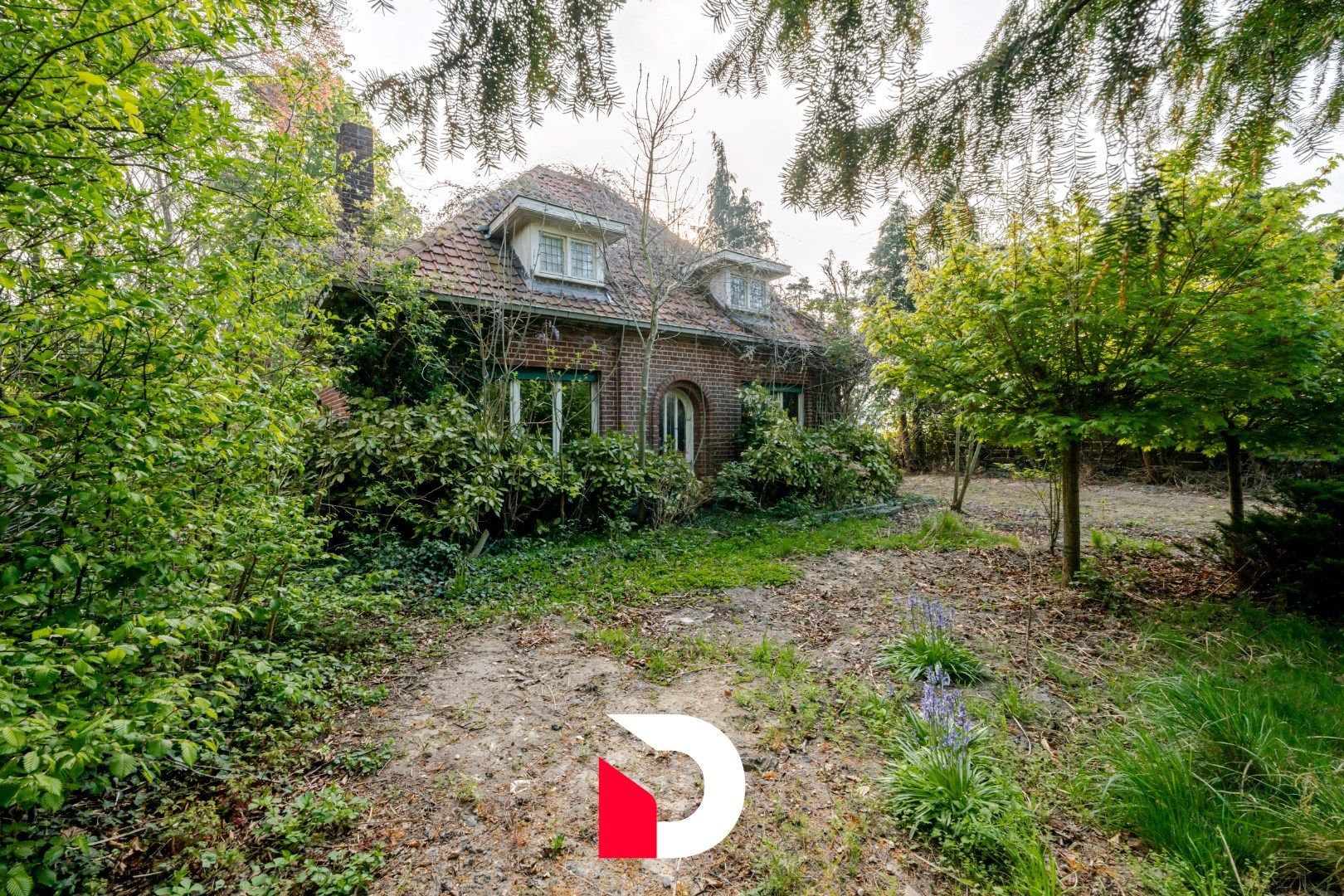 Uniek perceel van 6.448 m² met te renoveren woonst aan Merkenveld bos te Zedelgem  foto 4
