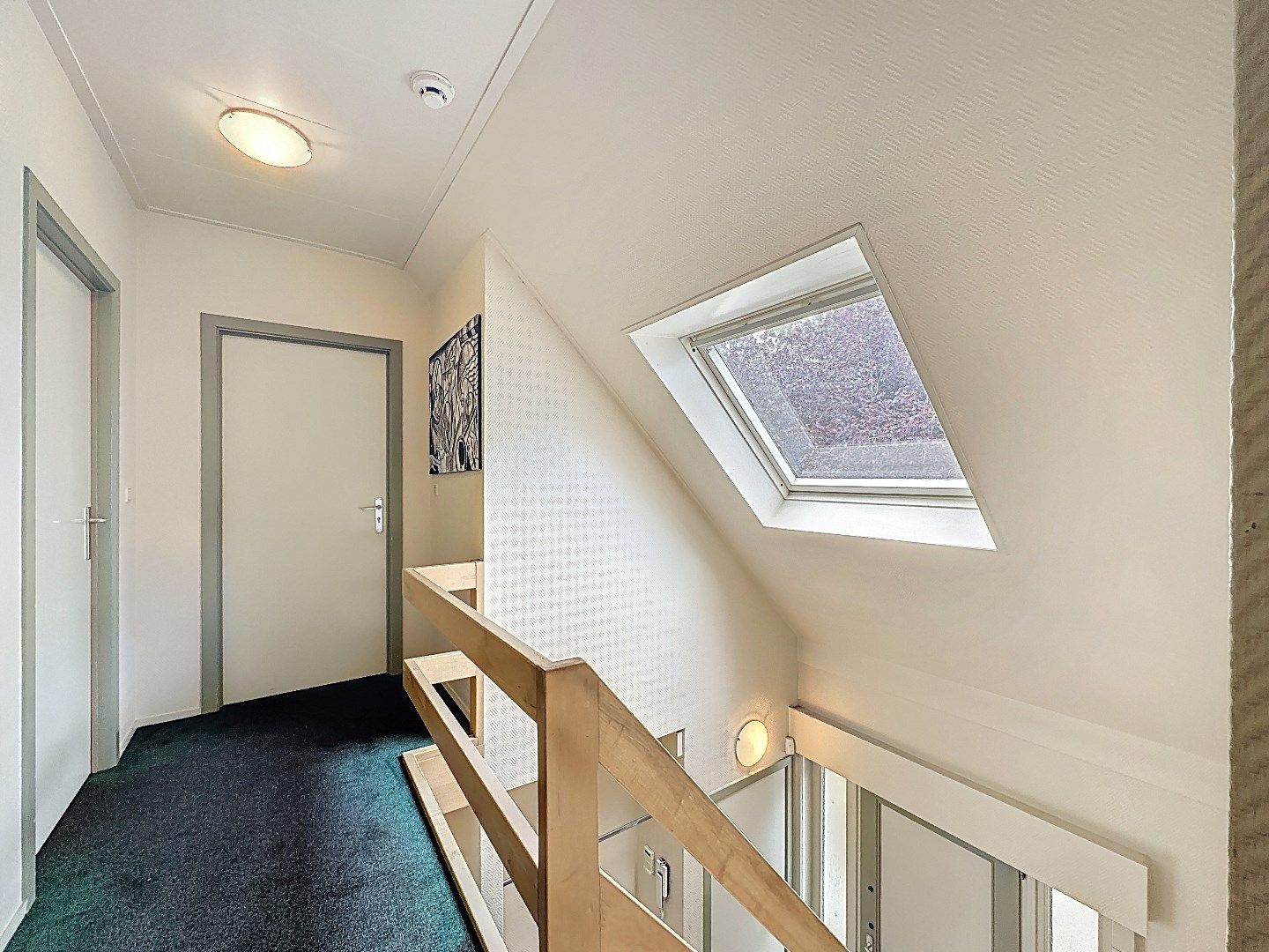 Landelijk aan de Zeeuwse Kust foto 20