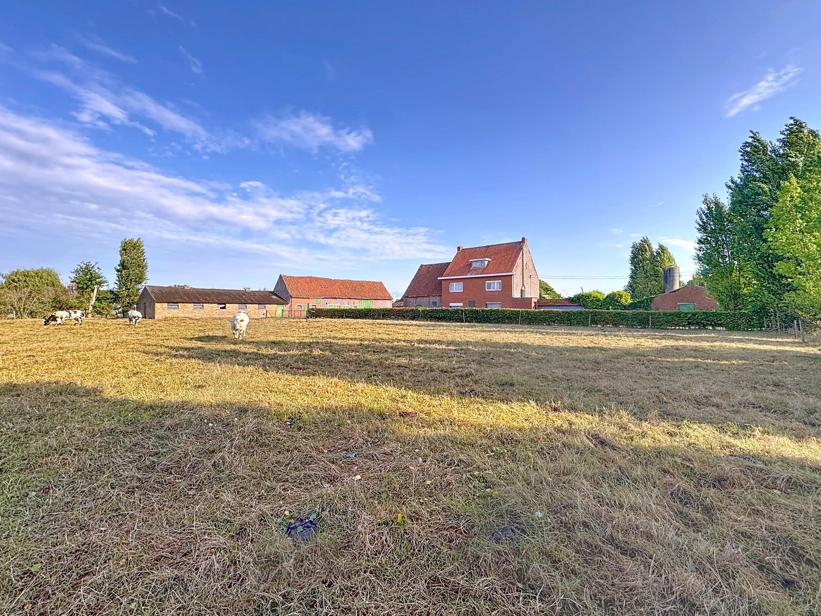 Hoofdfoto van de publicatie: Te renoveren hoeve op crica 1 ha op GOEIE ligging!