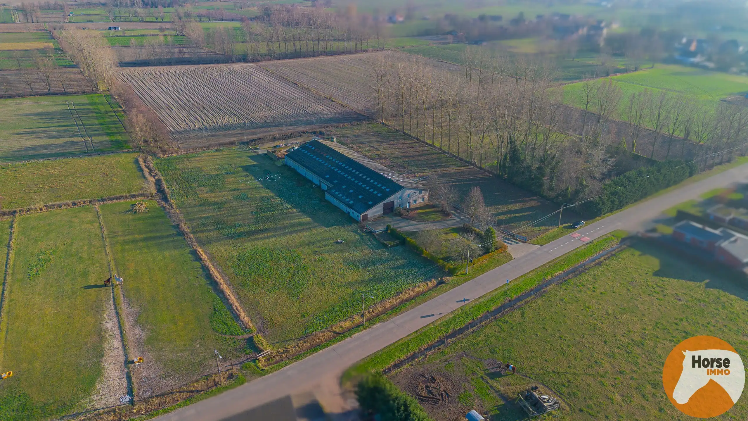 LAARNE- &nbsp;Landbouweigendom met geïntegreerde woning&nbsp; foto 27