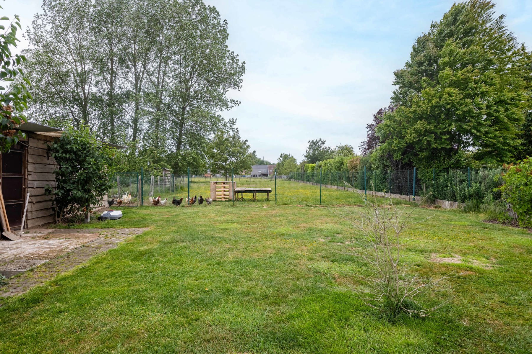 Instapklaar woning met 4 slpk, tuin + dub. garage foto 24