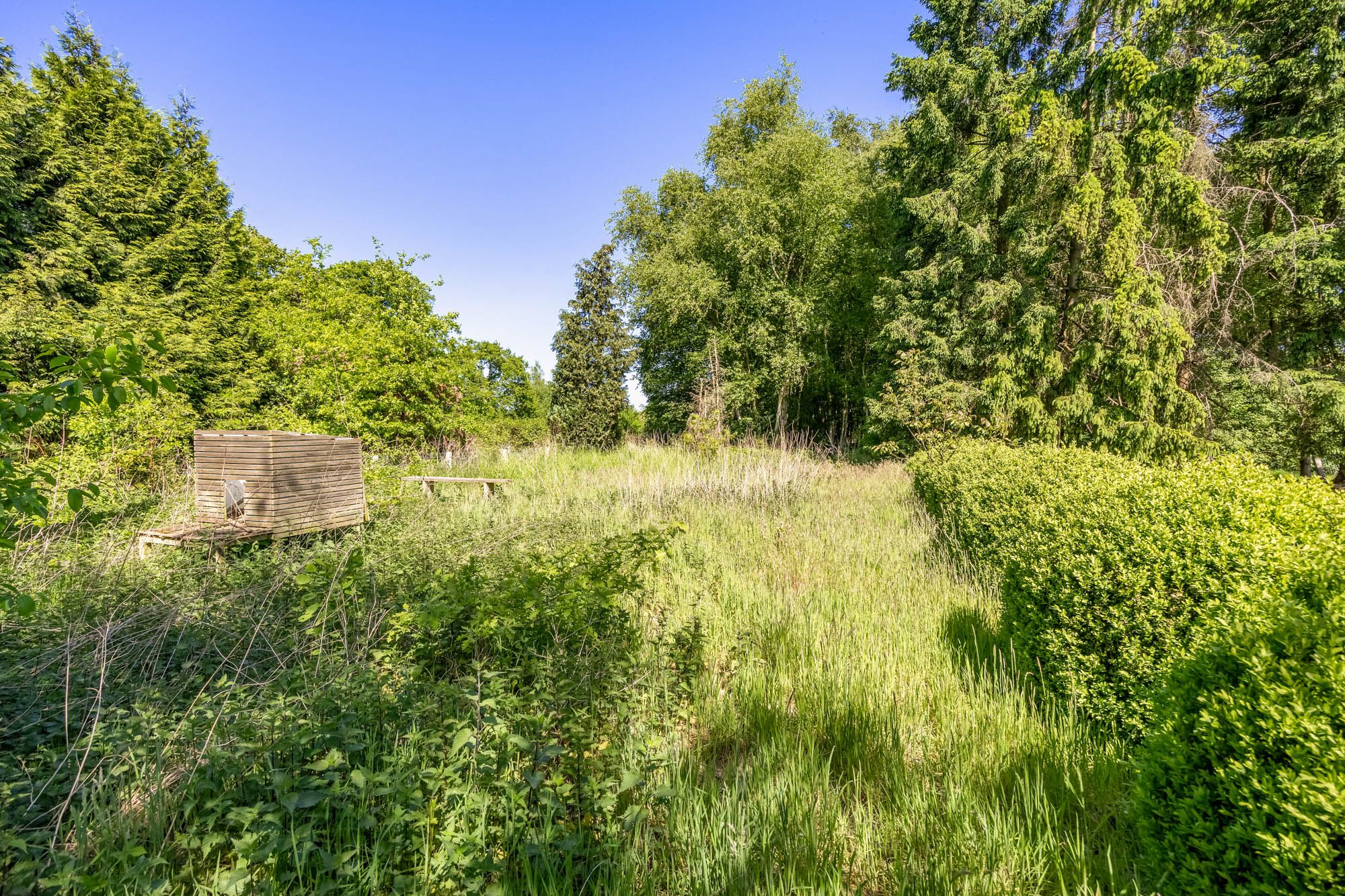 Huis te koop foto 16