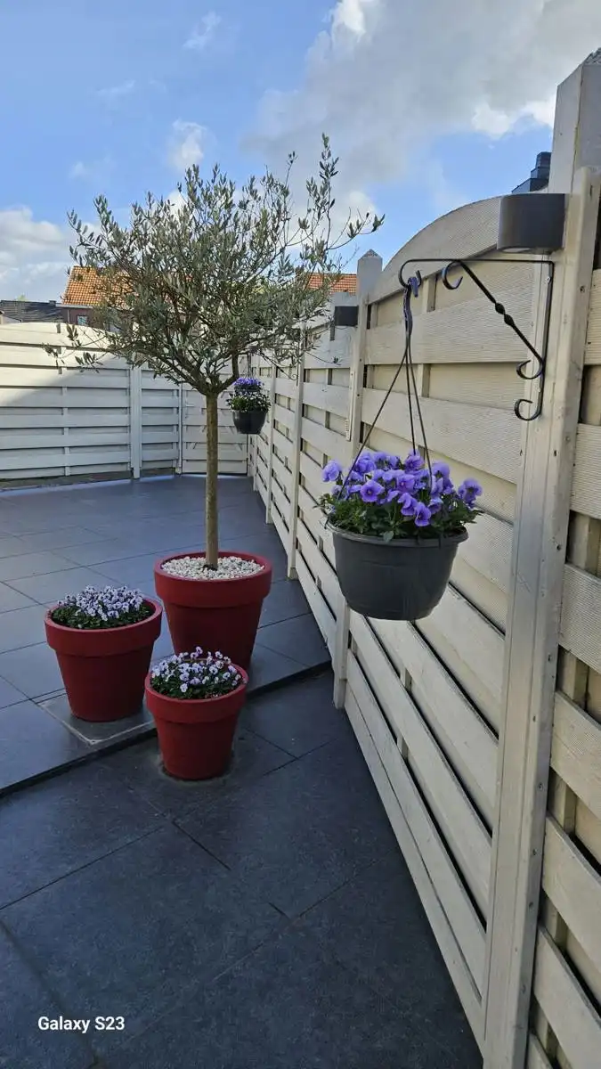 Instapklare 4-slaapkamerwoning met zonnepanelen EPC-B foto 20