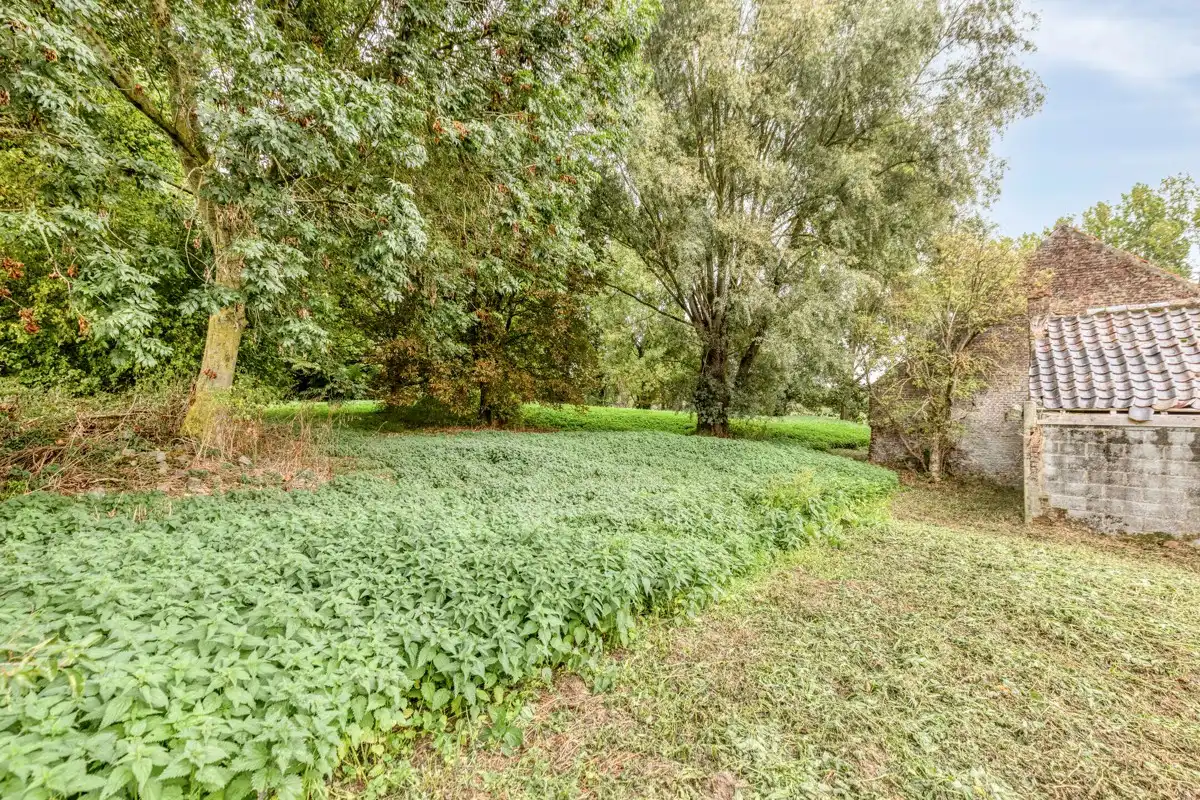 Te renoveren hoeve met schuren op ca. 1,3ha! foto 16