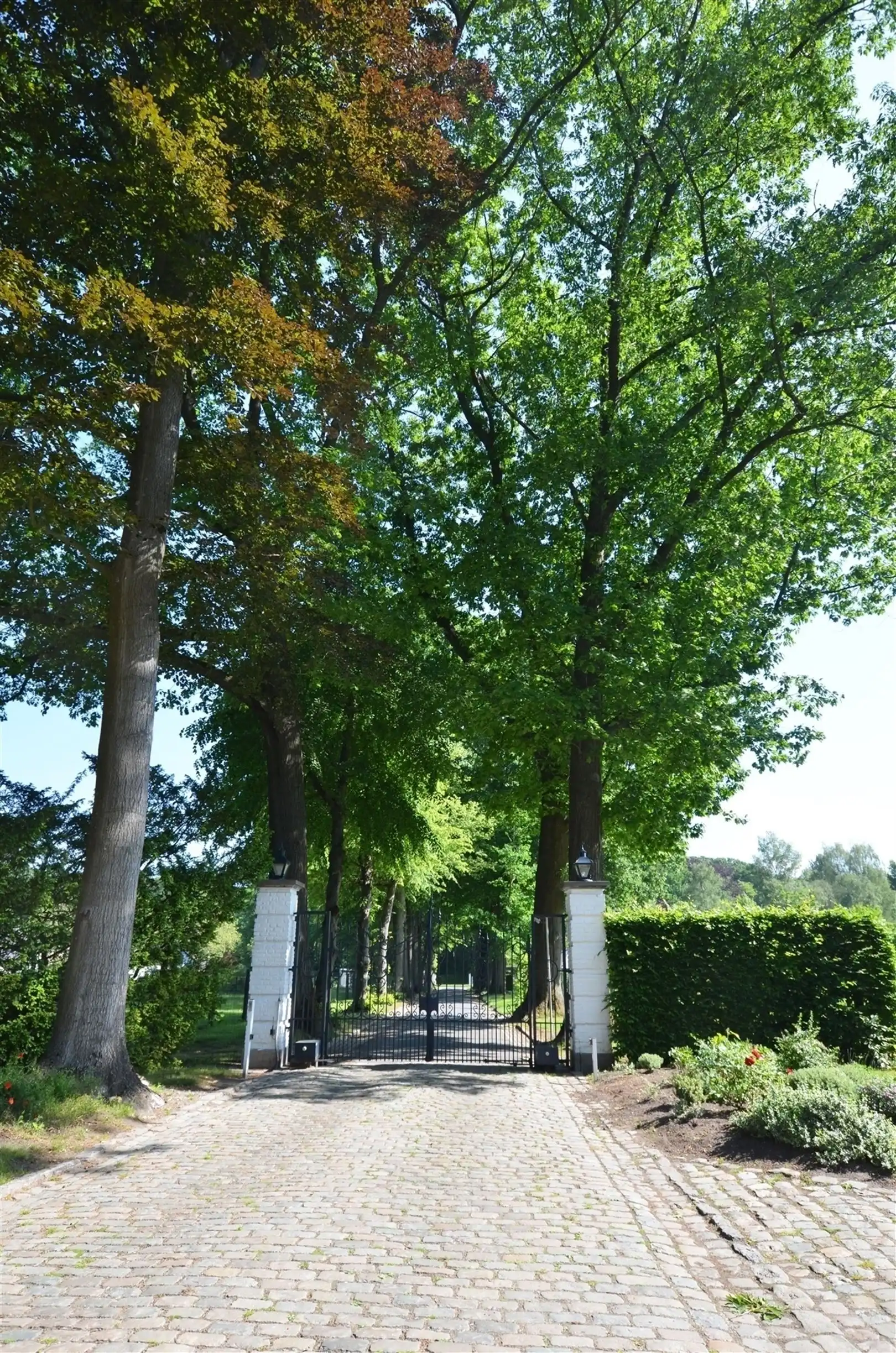 Uniek kasteeldomein op ±7ha nabij het centrum van Hasselt foto 25