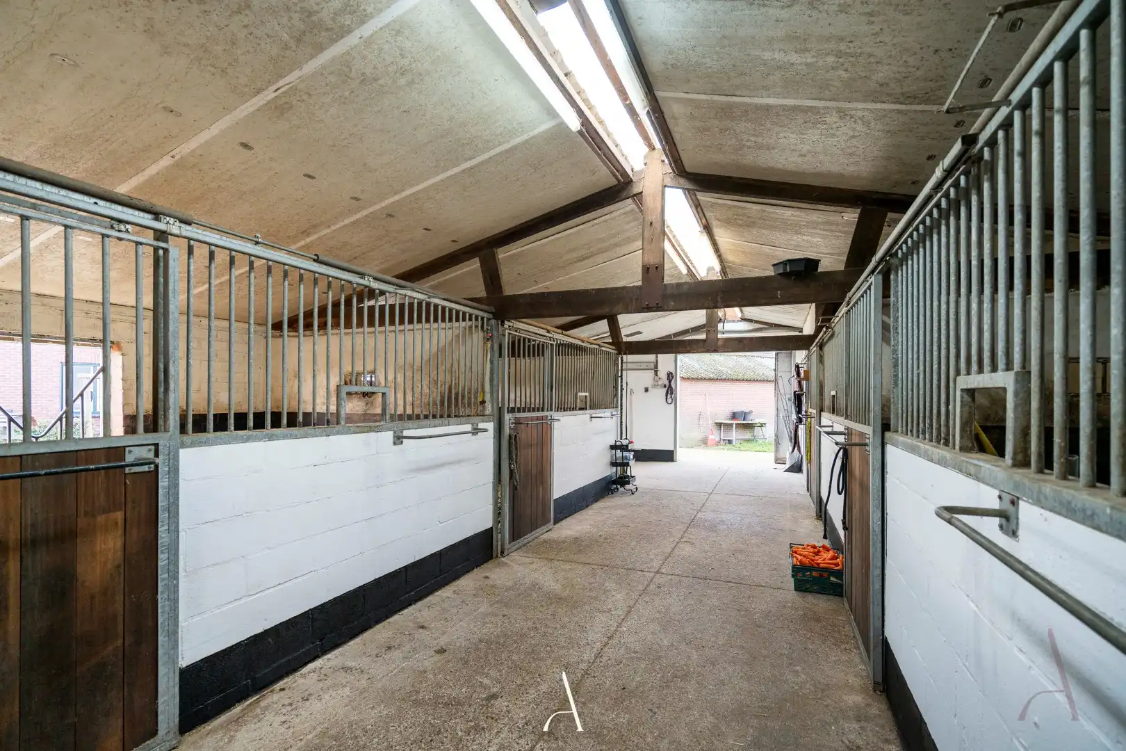 Landelijk wonen met volwaardige paardenaccommodatie op 7.929 m² in Tongerlo (Bree) foto 20