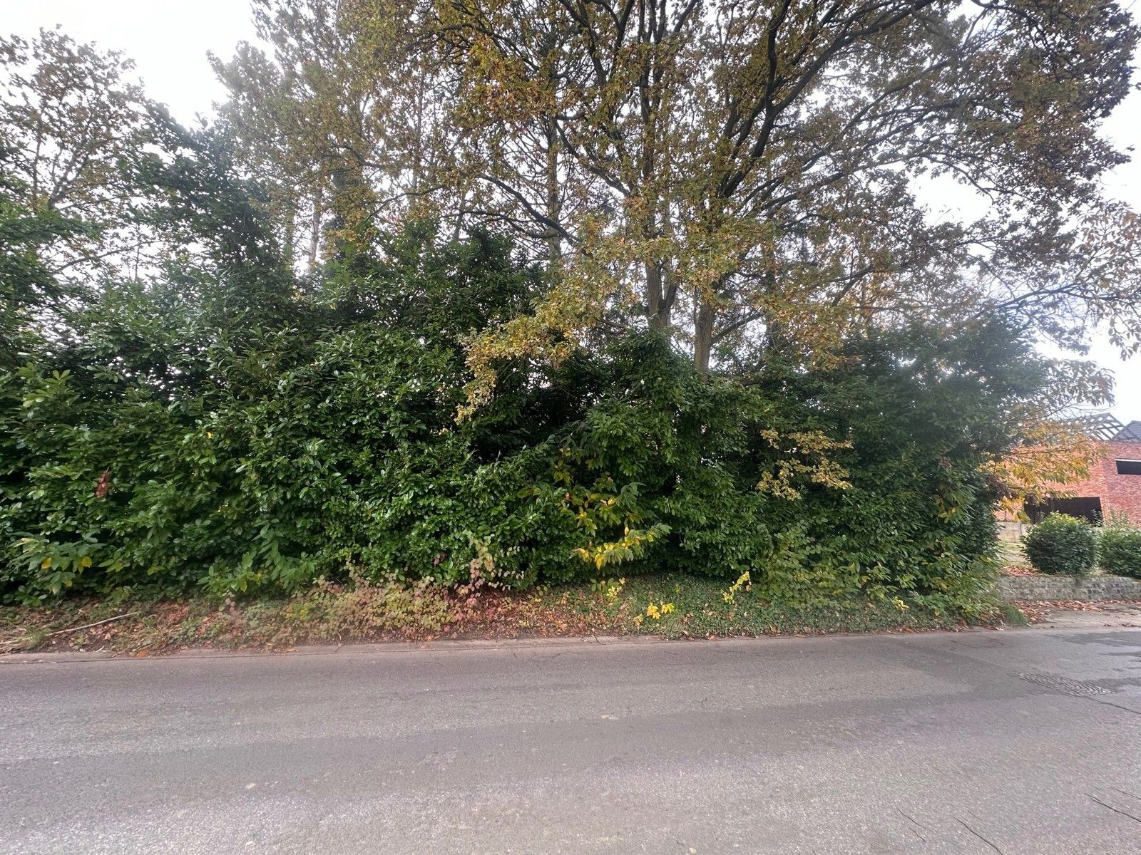 Grond te koop 2580 Putte Beerzel