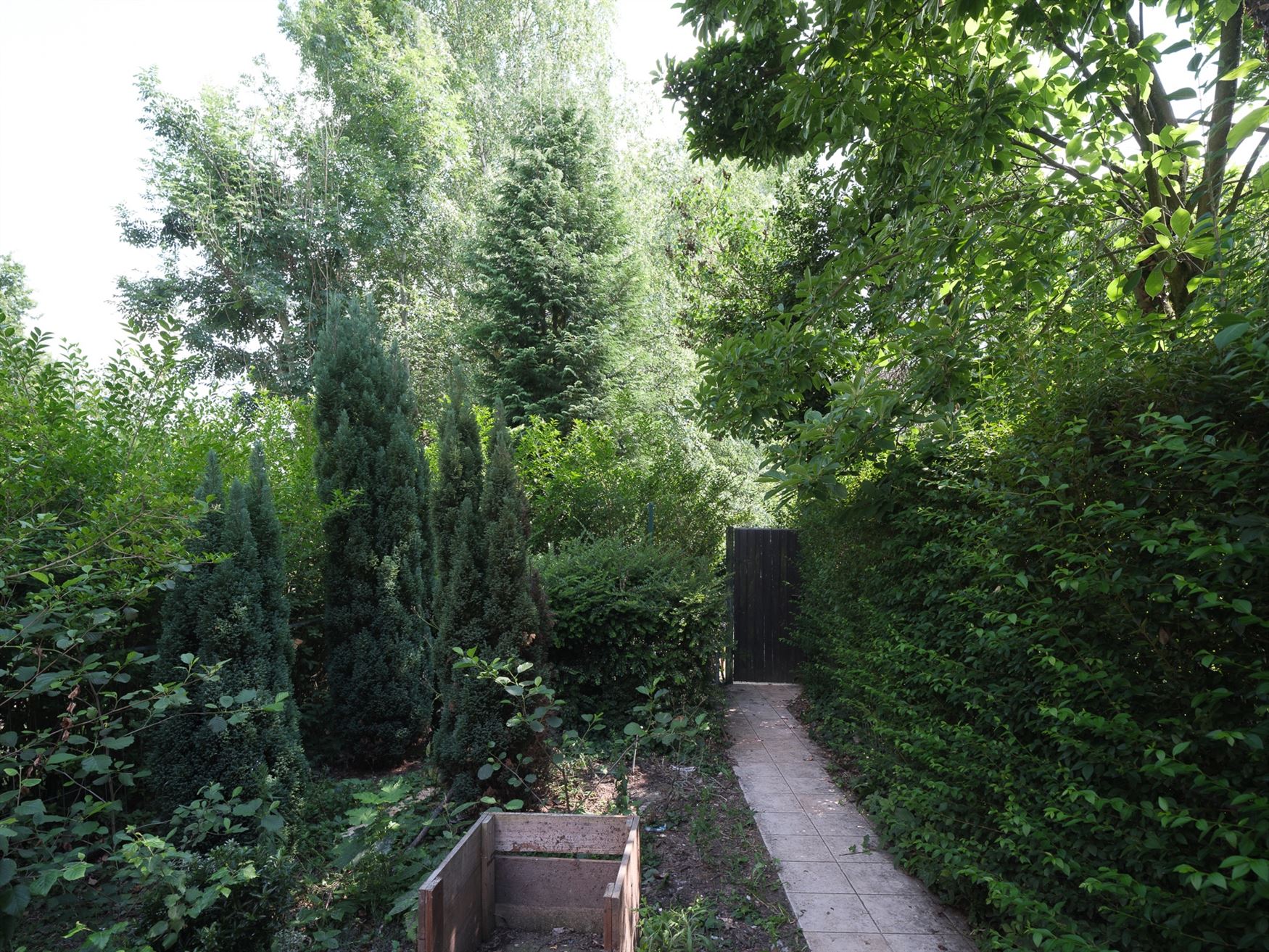 Charmante gevel. Hippe buurt. Groene stadsoase. foto 2