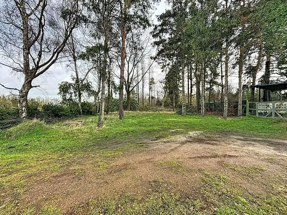 Rustig gelegen grond (997 m²) te koop in Wuustwezel foto 4