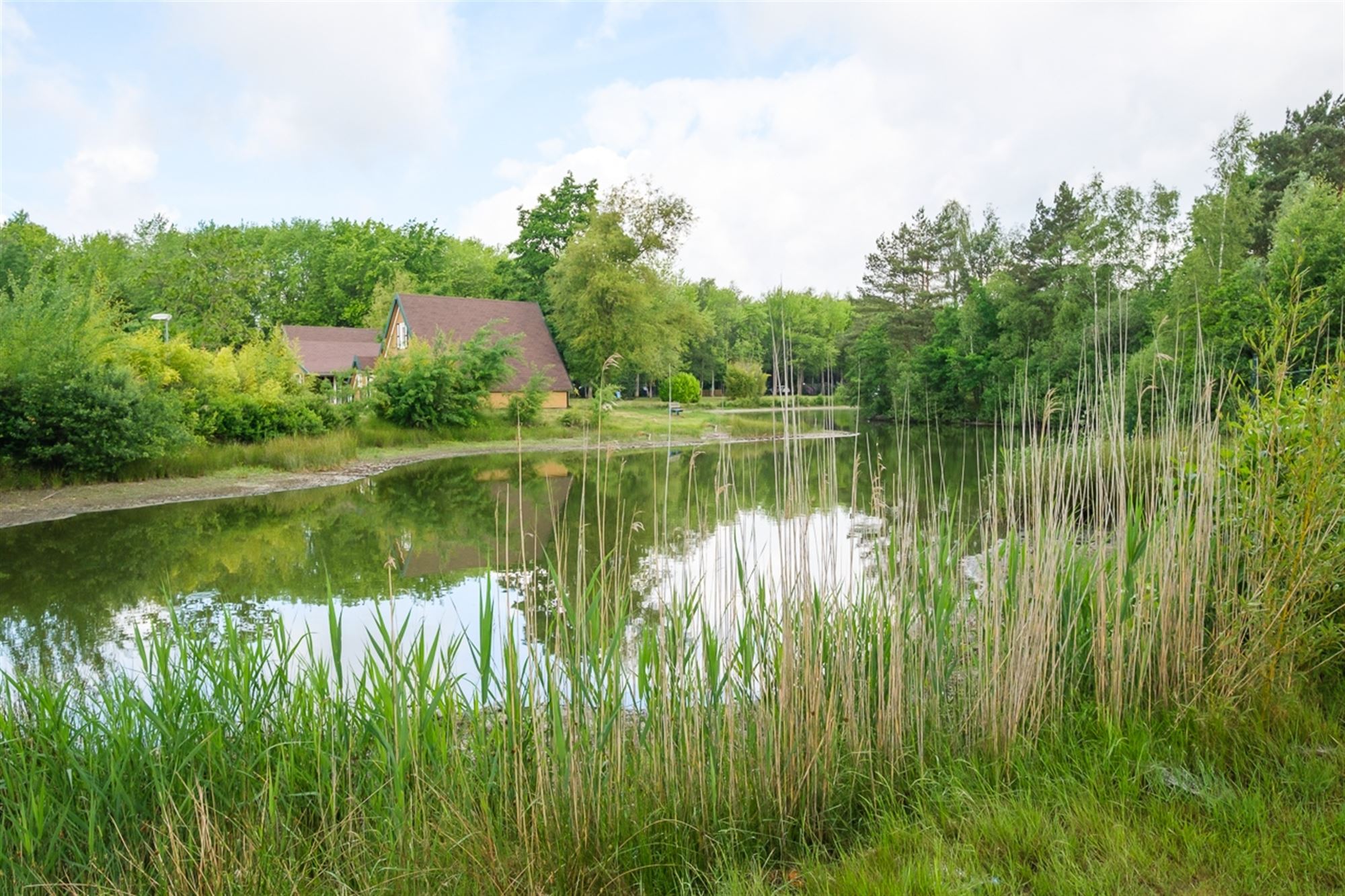 RECENTE VAKANTIEWONING MET 2 SLKS IN EEN GEZELLIG VAKANTIEPARK  foto 29