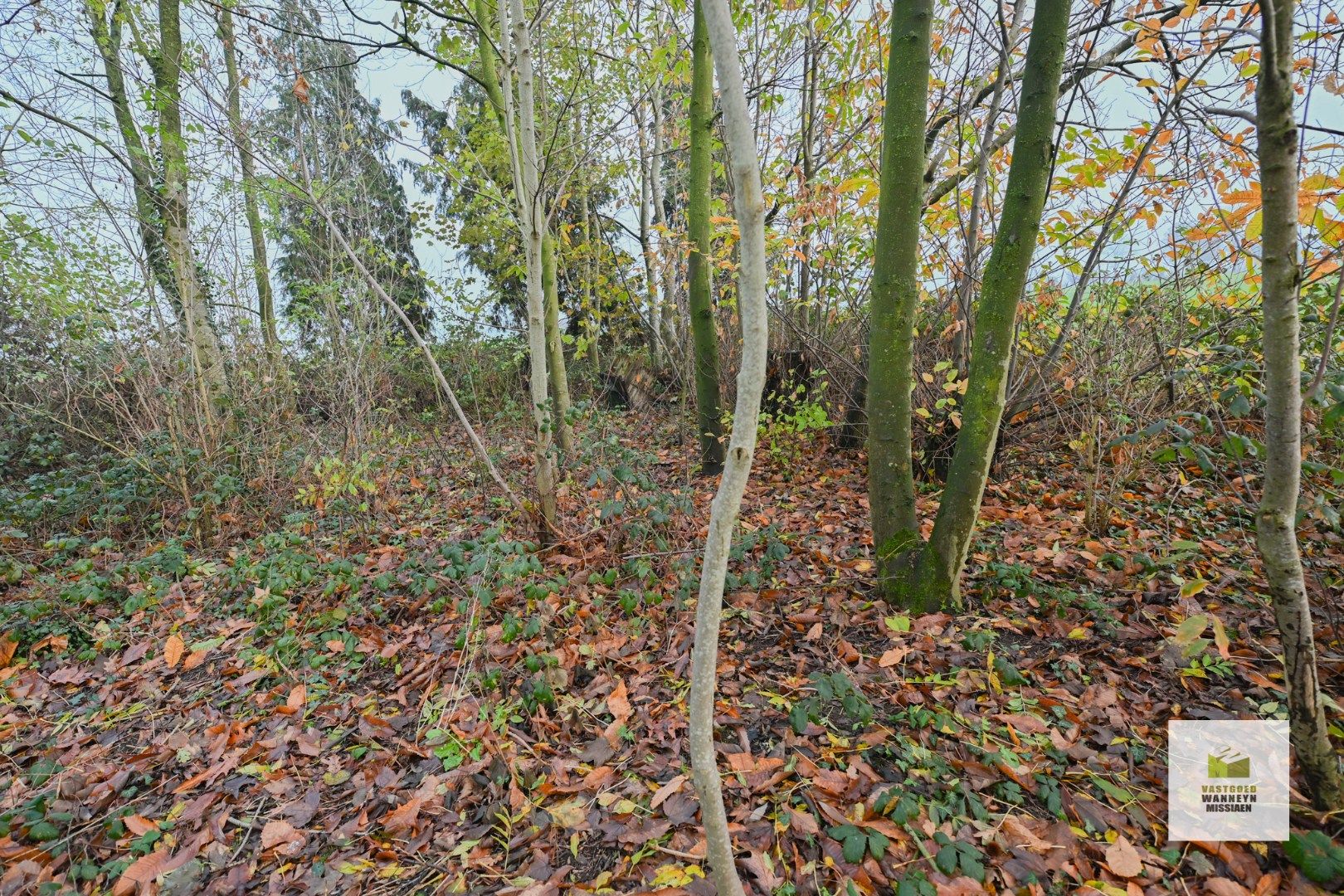 Open bebouwing met een landelijk uitzicht op 2.689m2 foto 22