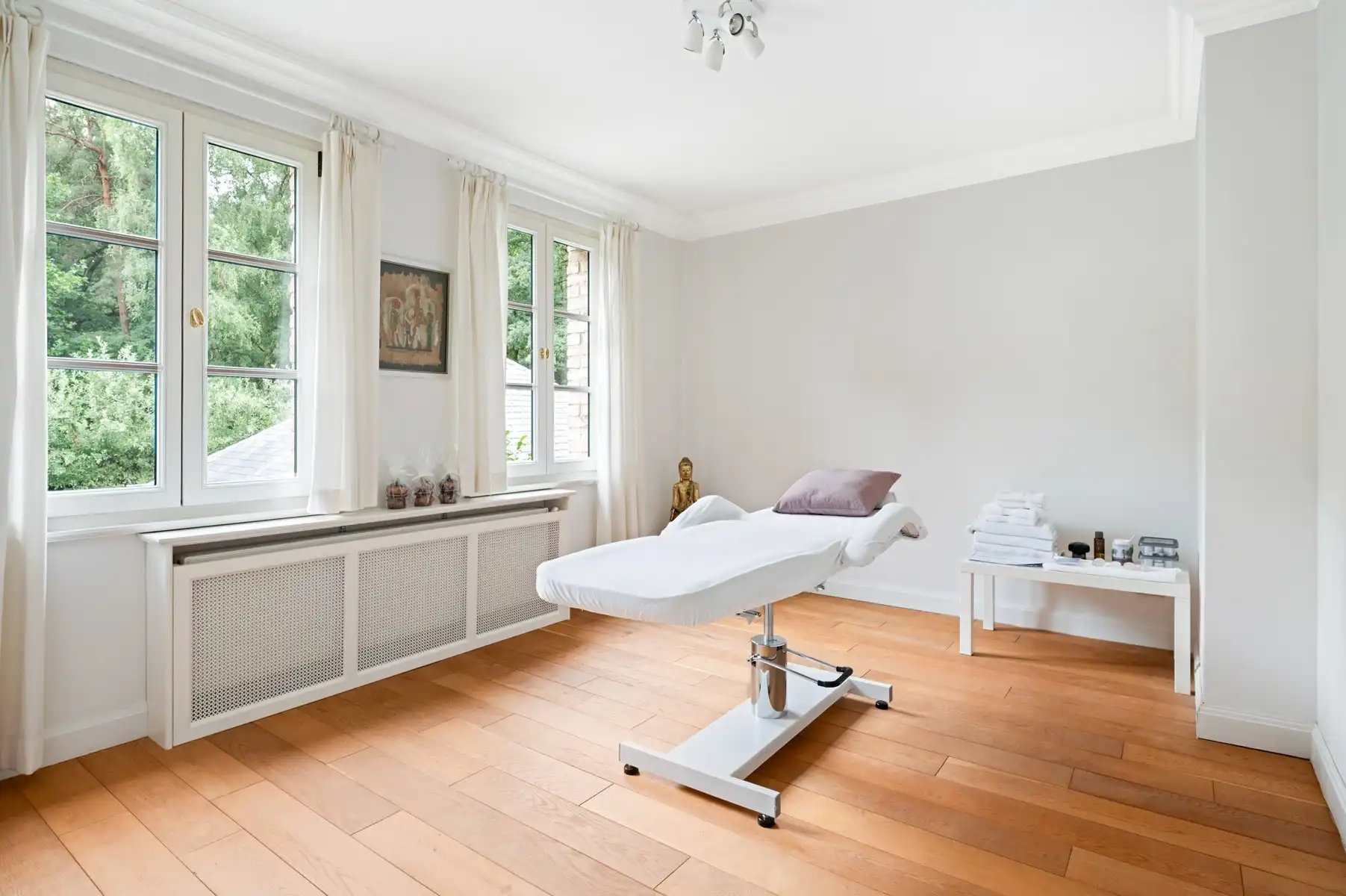 Exclusieve instapklare villa met 15.088m² parktuin foto 25