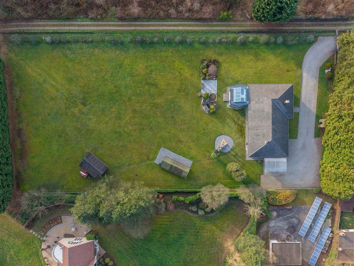 verborgen parel in het groen foto 33