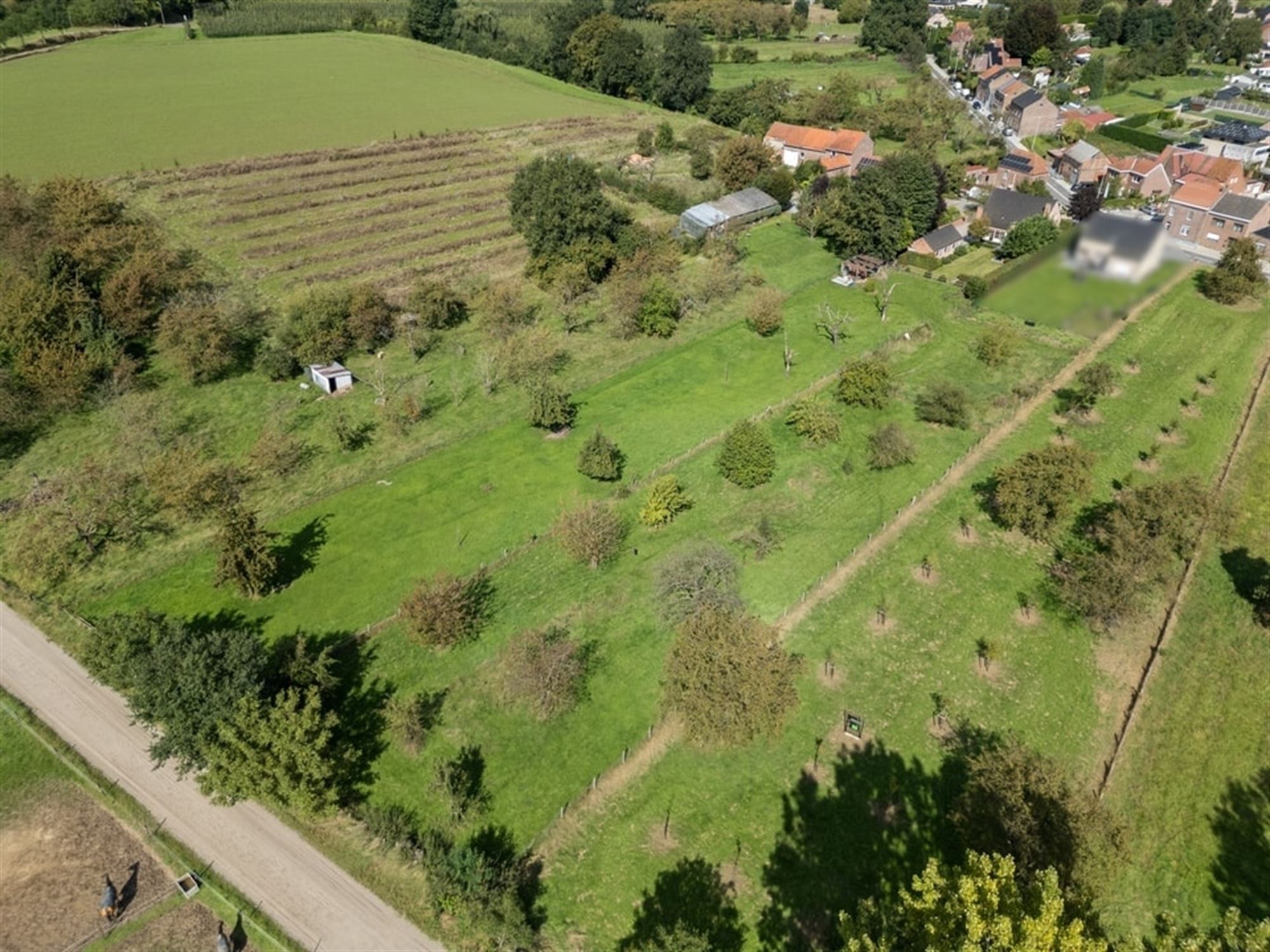 KNAPPE PASTORIJWONING OP EEN PRACHTIG PERCEEL VAN MAAR LIEFST 40A foto 35