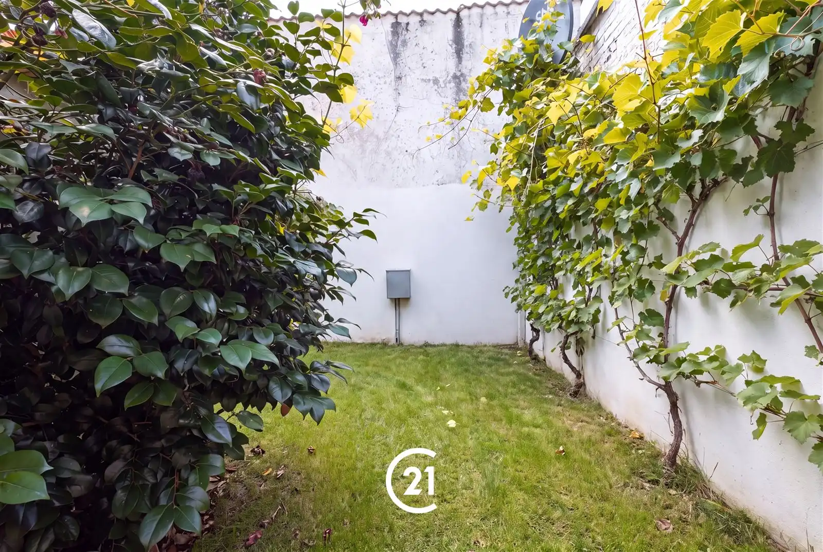 Instapklare woning met 3 slaapkamers en tuin in Gent foto 3