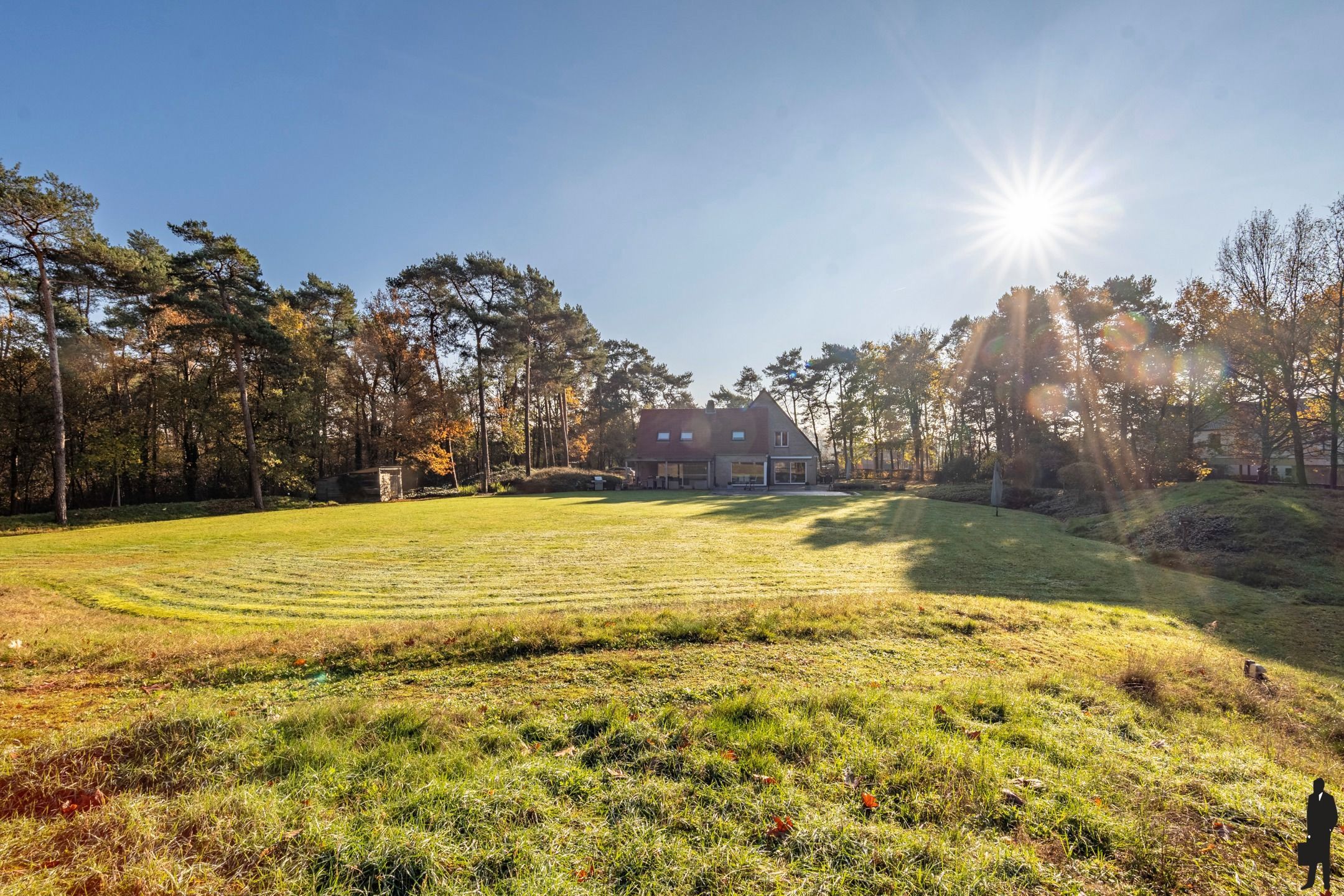 Villa met zwembad en privébos volledig omheind in Retie foto 23