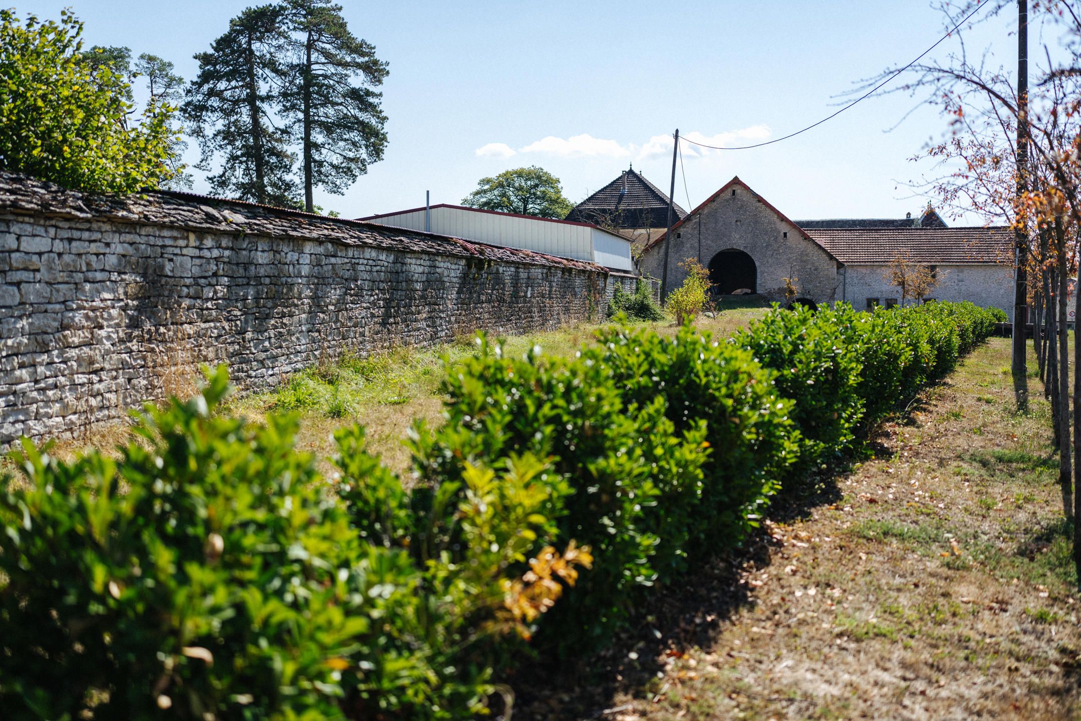 Prachtige eigendom gelegen in "Bouhans-les-Montbozon"... foto 14