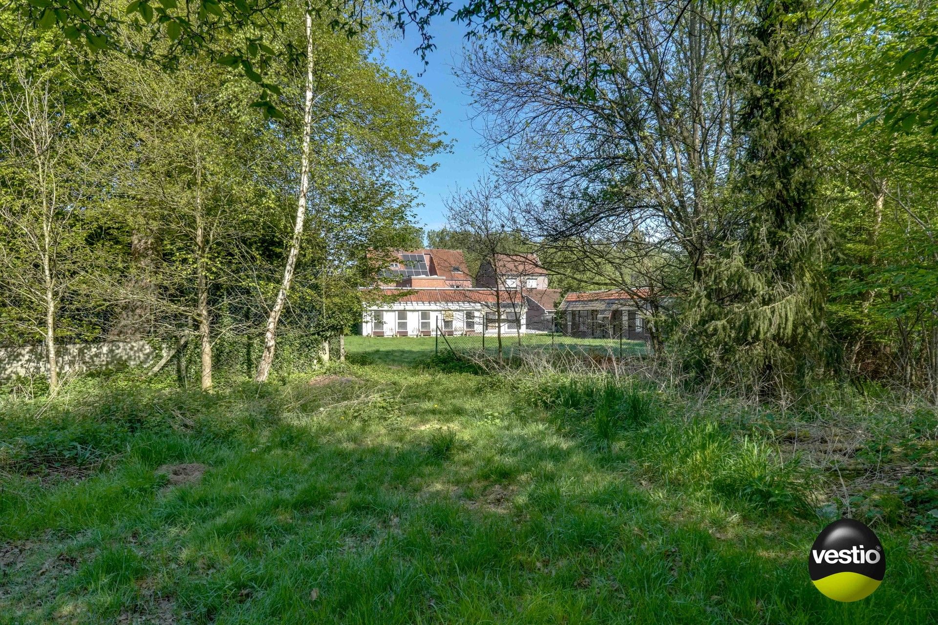 DEGELIJKE WONING MET WEILANDEN OP 1,7 HECTARE foto 13